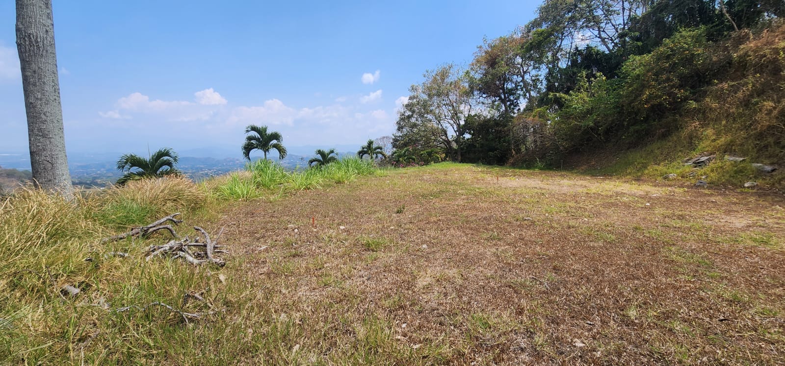 0 bed Land For Sale in Atenas, Alajuela - thumb 9