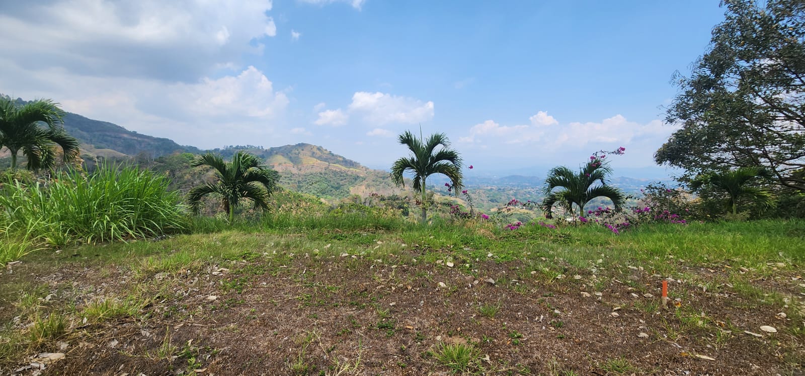 0 bed Land For Sale in Atenas, Alajuela - thumb 8