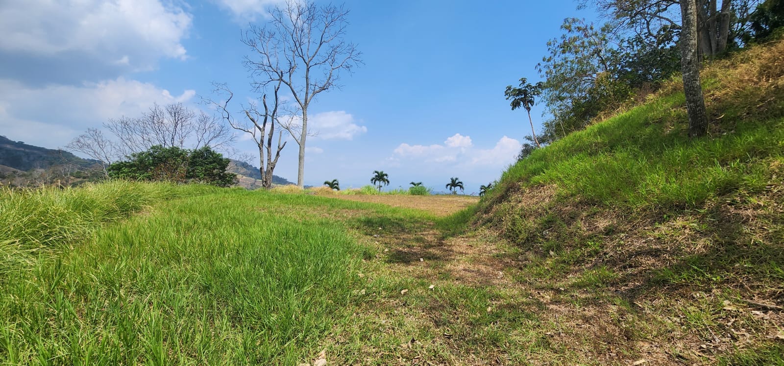 0 bed Land For Sale in Atenas, Alajuela - thumb 1
