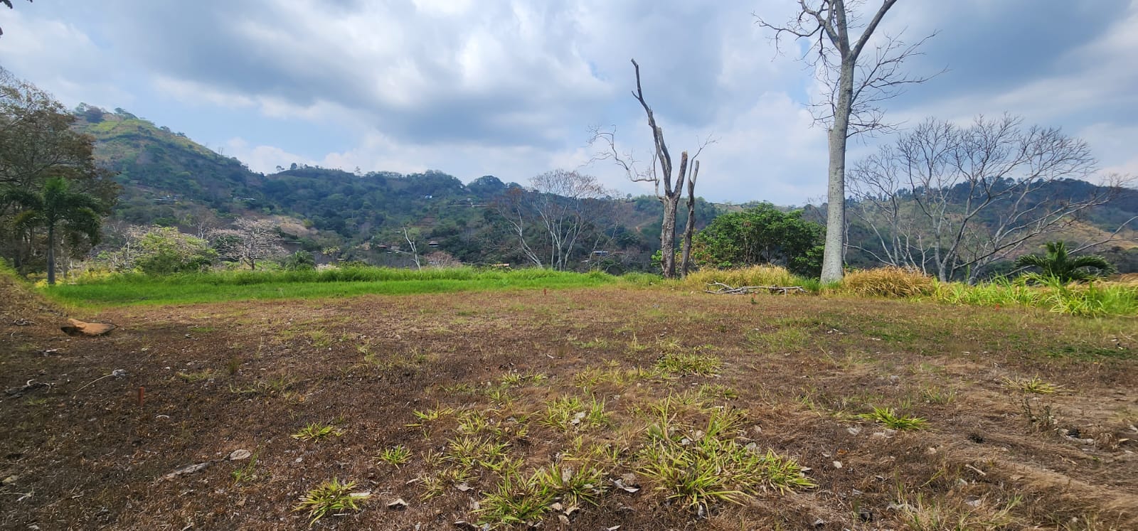 0 bed Land For Sale in Atenas, Alajuela - thumb 10