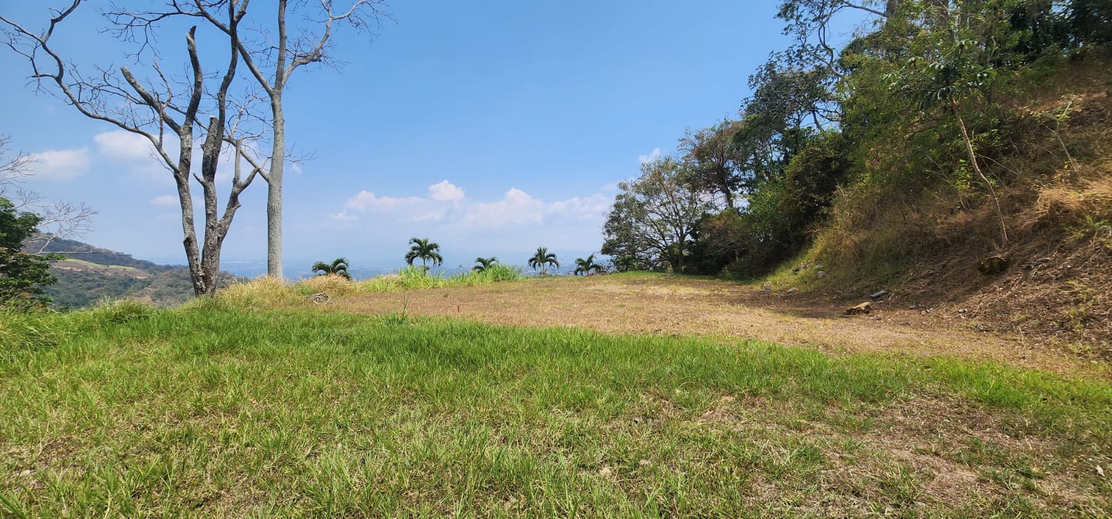 0 bed Land For Sale in Atenas, Alajuela - thumb 3