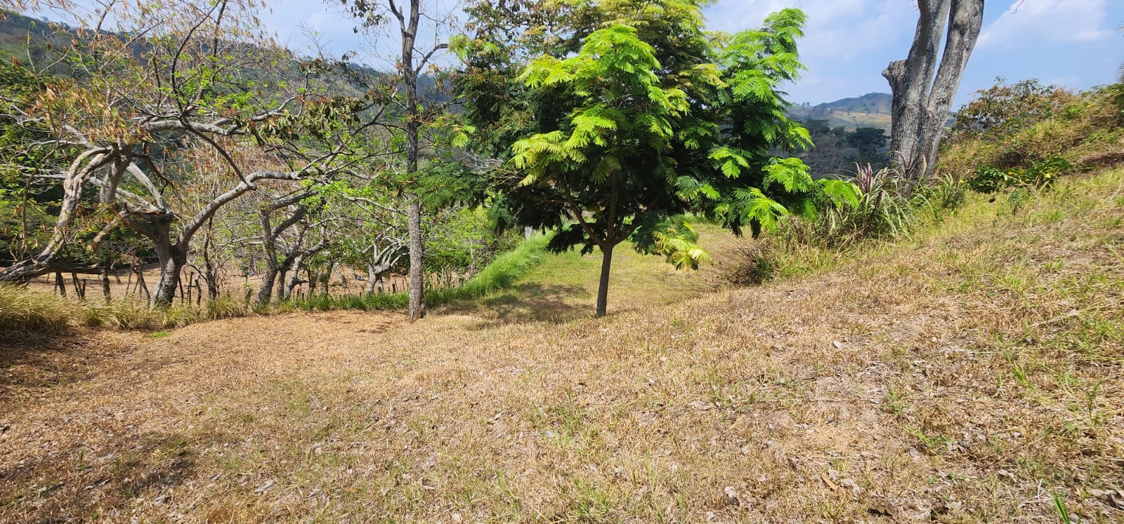 0 bed Land For Sale in Atenas, Alajuela - thumb 5