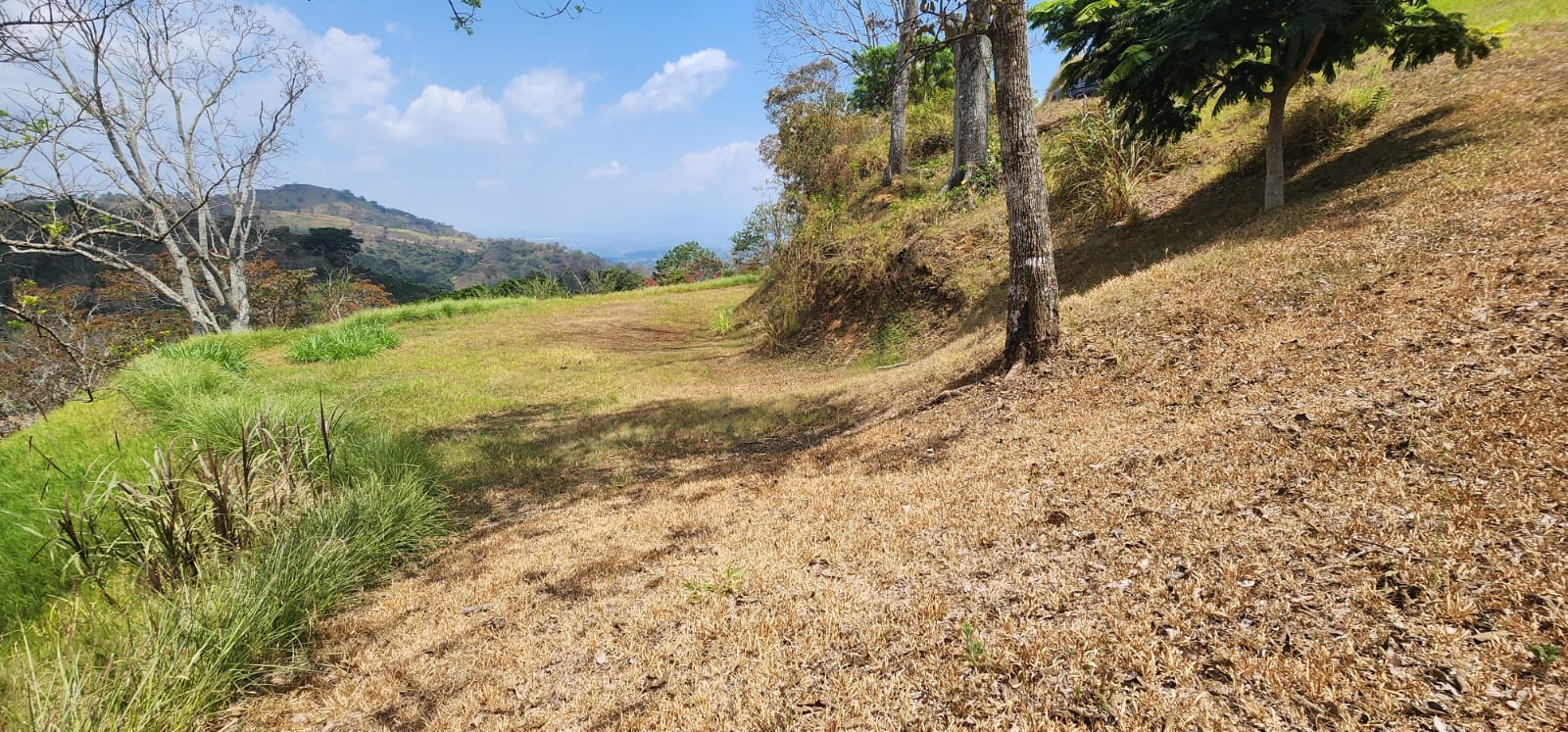 0 bed Land For Sale in Atenas, Alajuela - thumb 4