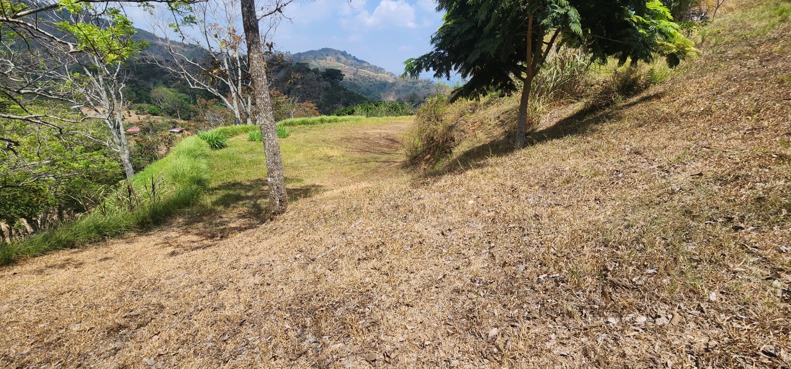 0 bed Land For Sale in Atenas, Alajuela - thumb 6