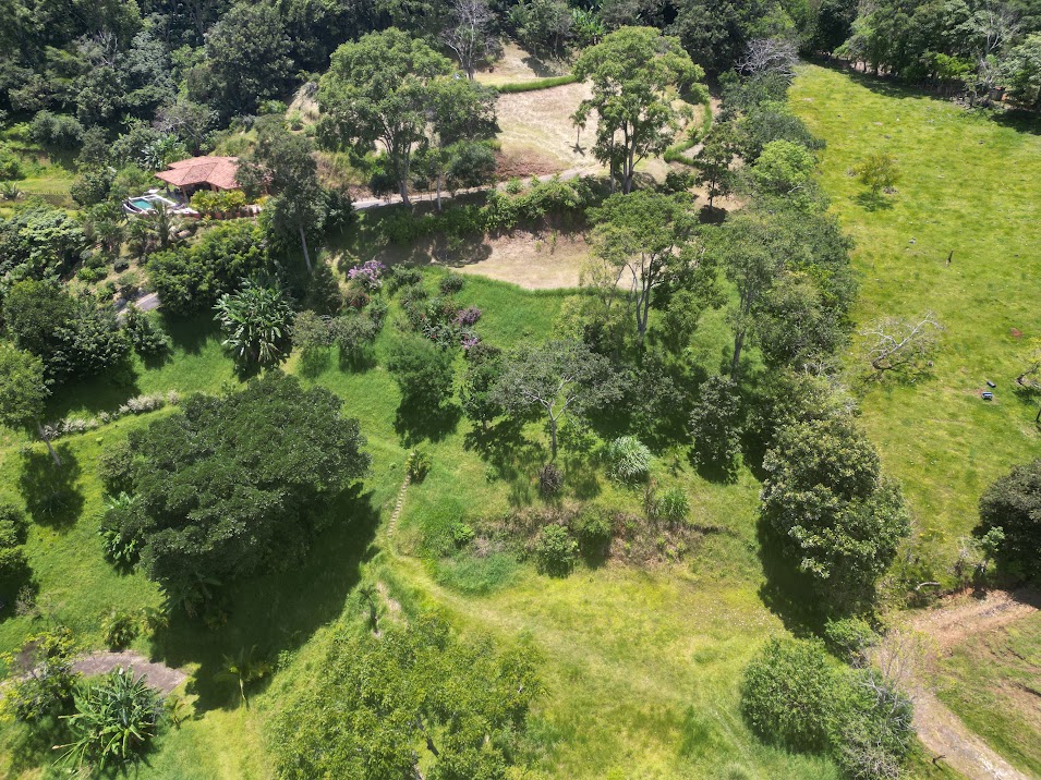 0 bed Land For Sale in Atenas, Alajuela - thumb 11