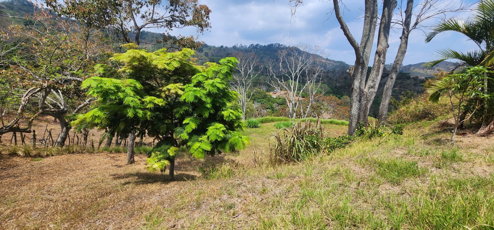 0 bed Land For Sale in Atenas, Alajuela - thumb 3