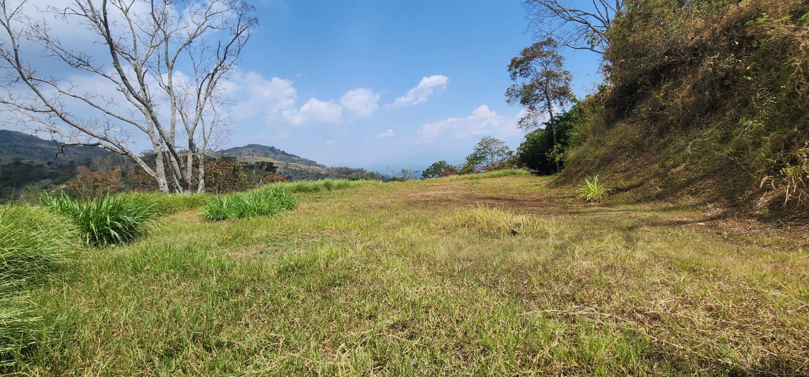 0 bed Land For Sale in Atenas, Alajuela - thumb 2