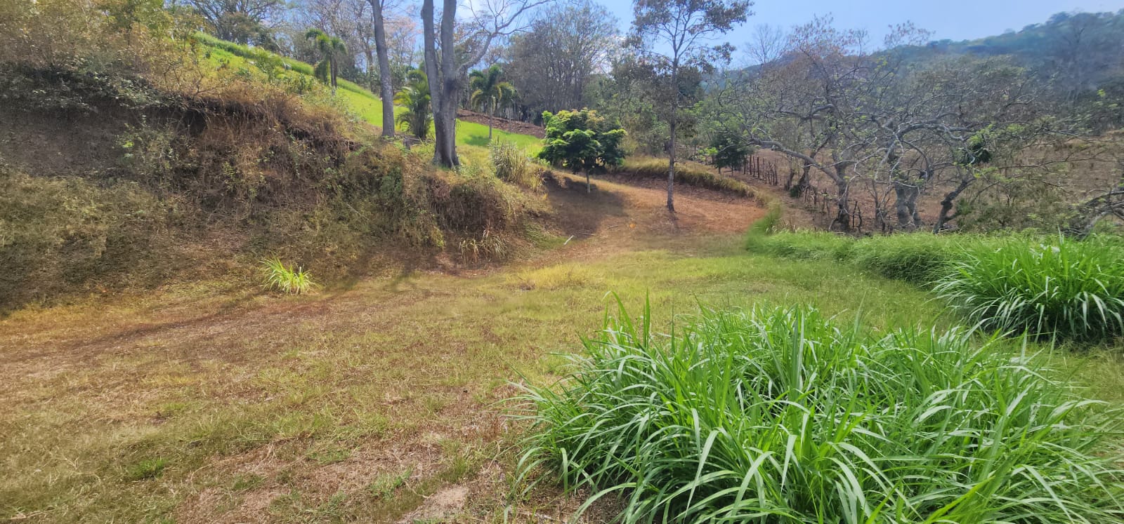 0 bed Land For Sale in Atenas, Alajuela - thumb 1
