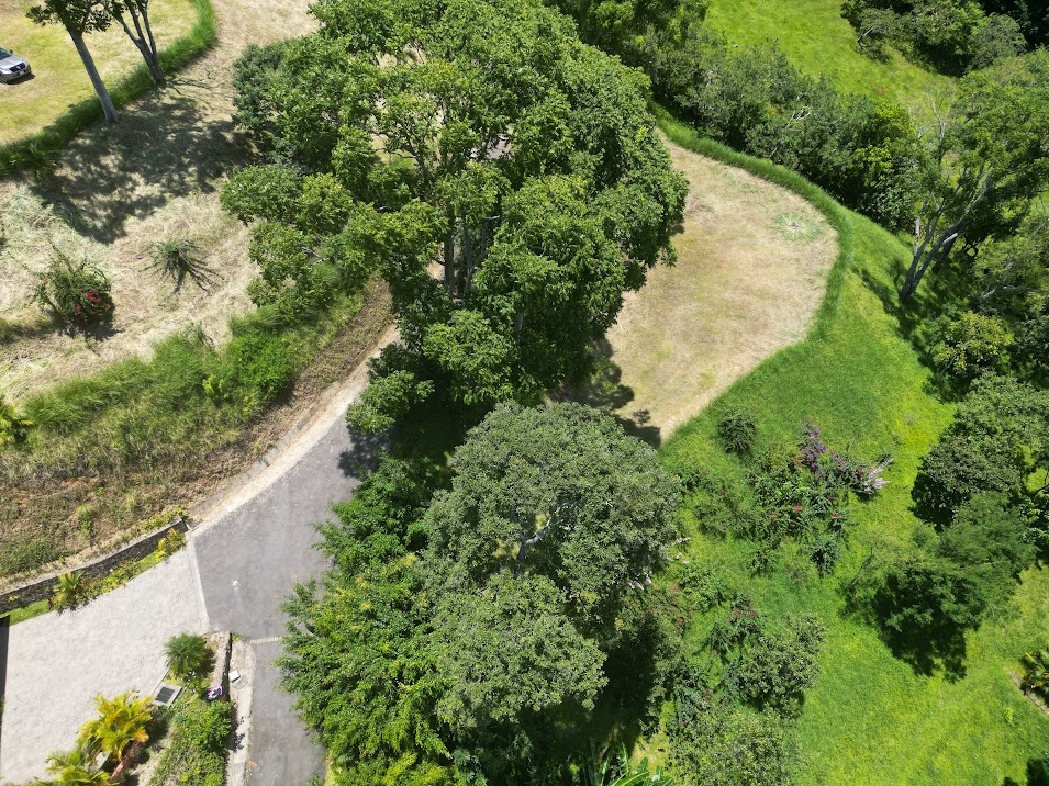 0 bed Land For Sale in Atenas, Alajuela - thumb 7