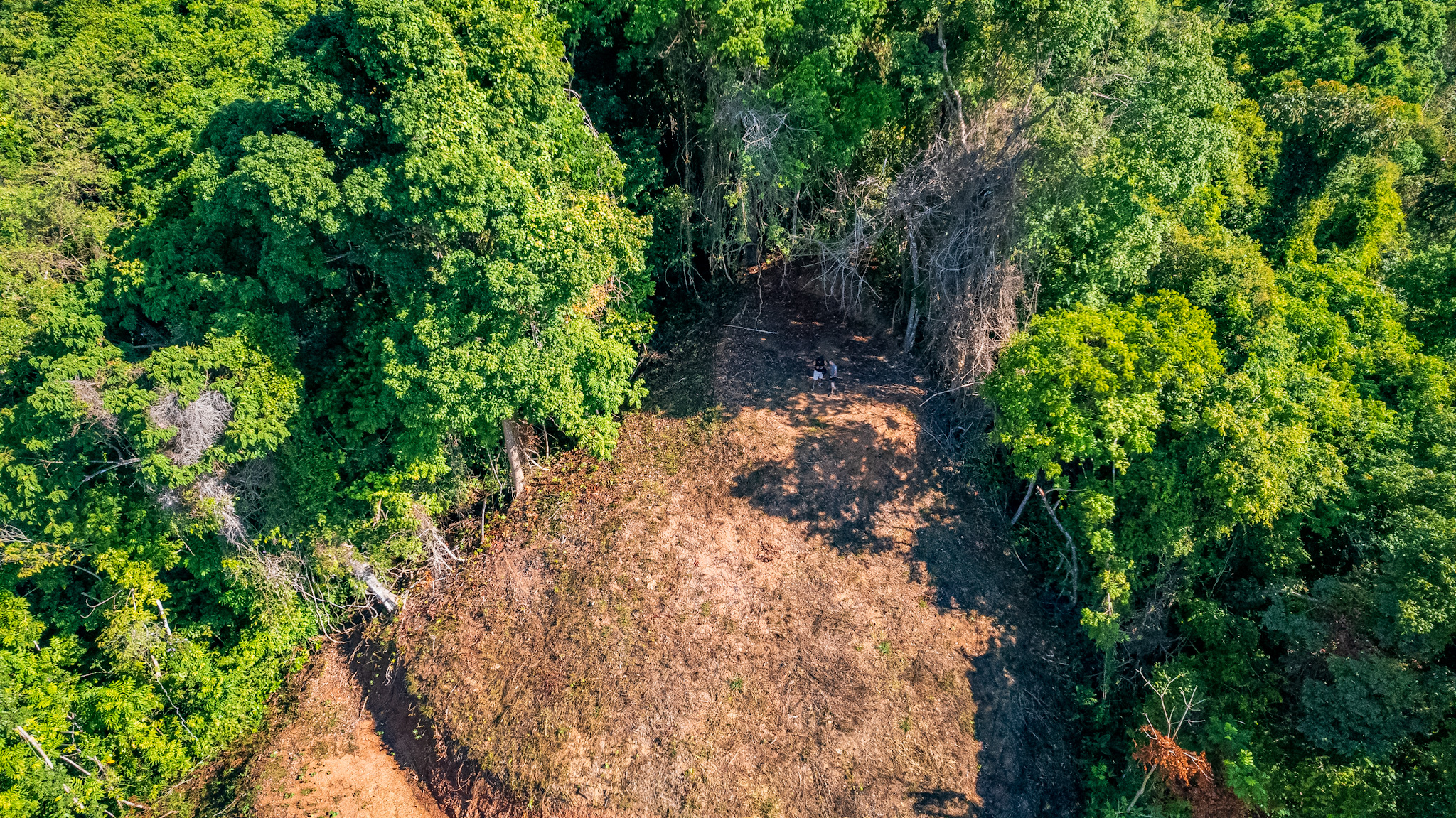 0 bed Land For Sale in Ojochal, Puntarenas - thumb 10