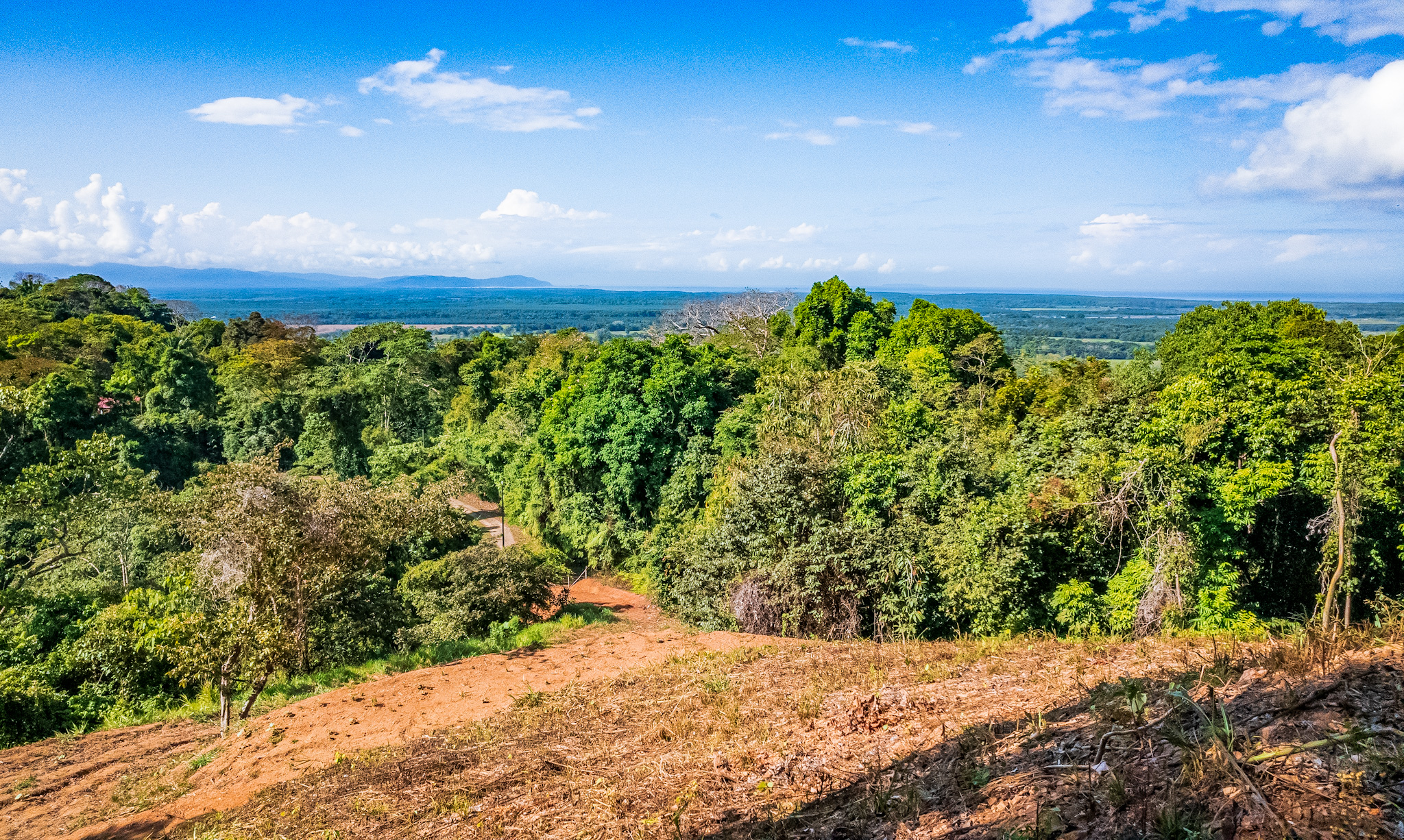 0 bed Land For Sale in Ojochal, Puntarenas - thumb 13