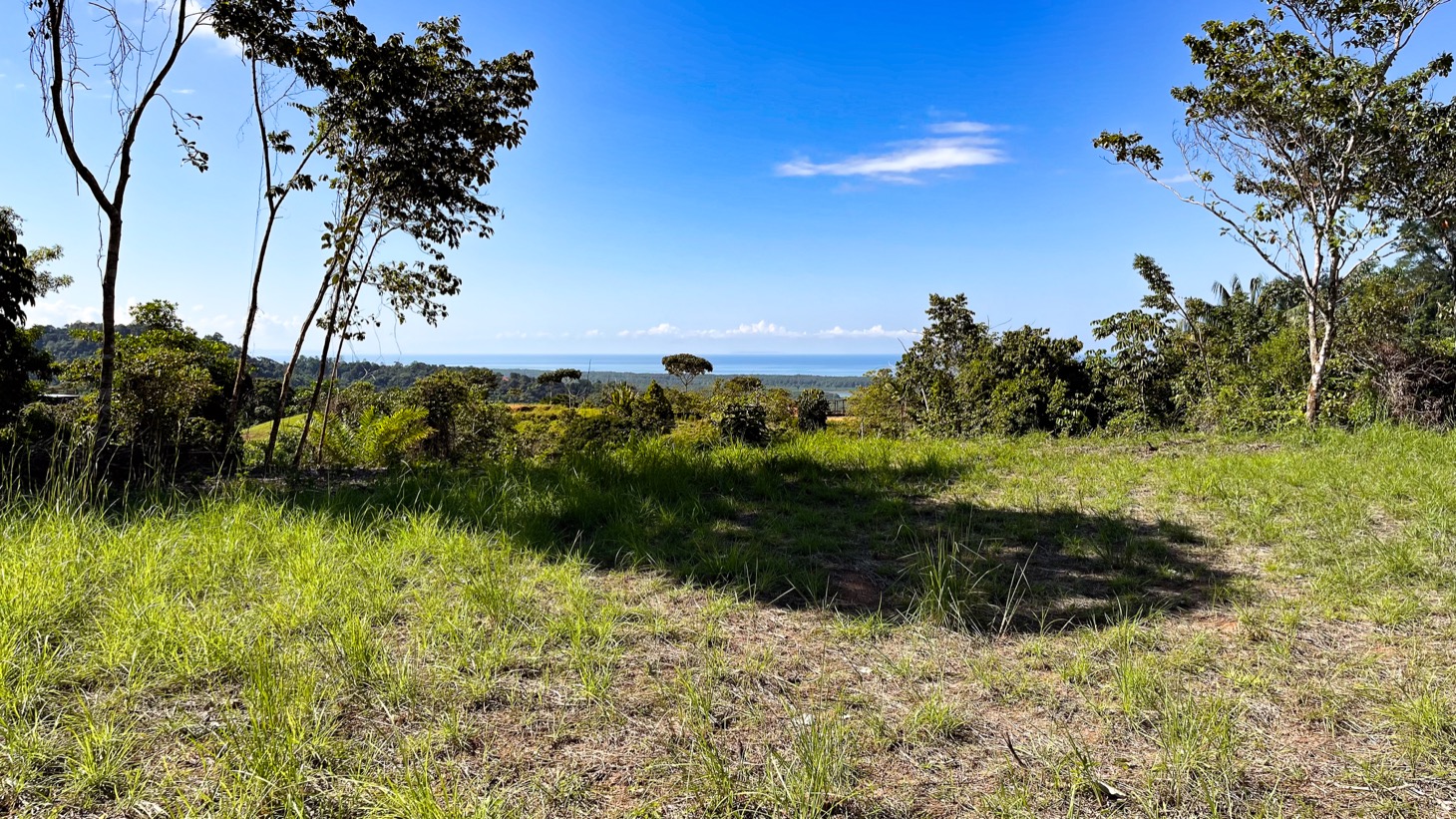 0 bed Land For Sale in Ojochal, Puntarenas - thumb 3