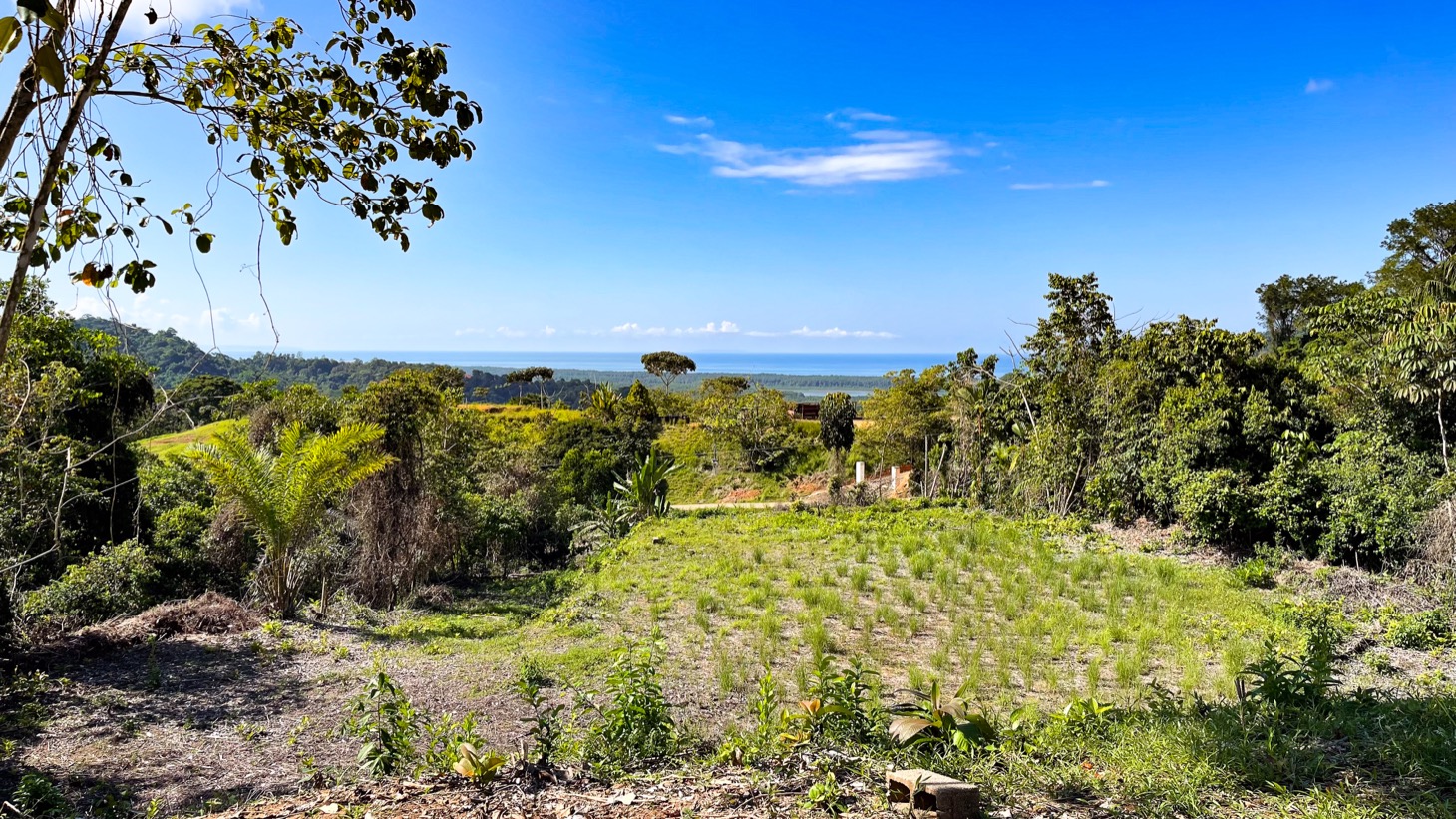 0 bed Land For Sale in Ojochal, Puntarenas - thumb 4