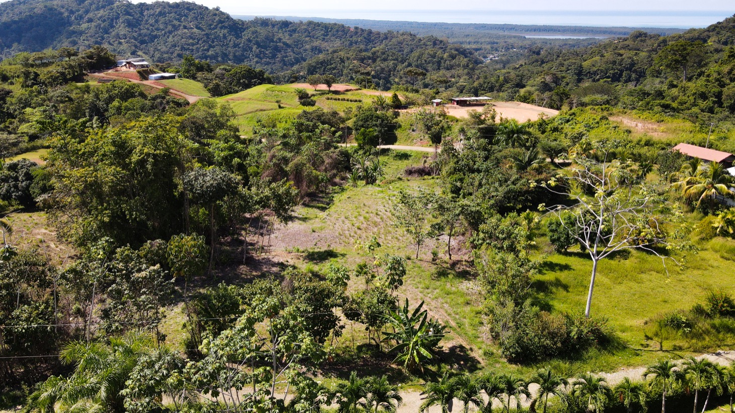 0 bed Land For Sale in Ojochal, Puntarenas - thumb 13