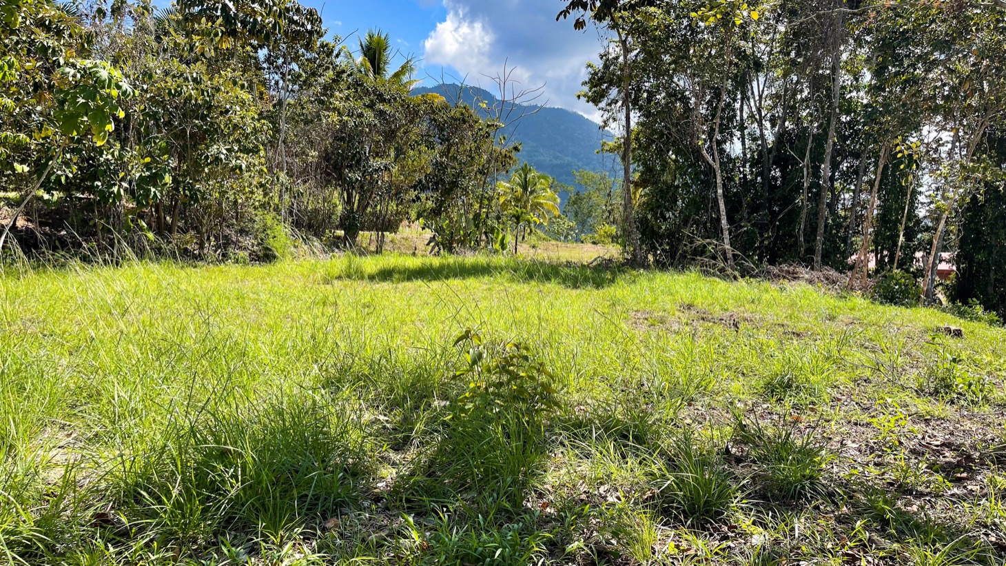 0 bed Land For Sale in Ojochal, Puntarenas - thumb 11