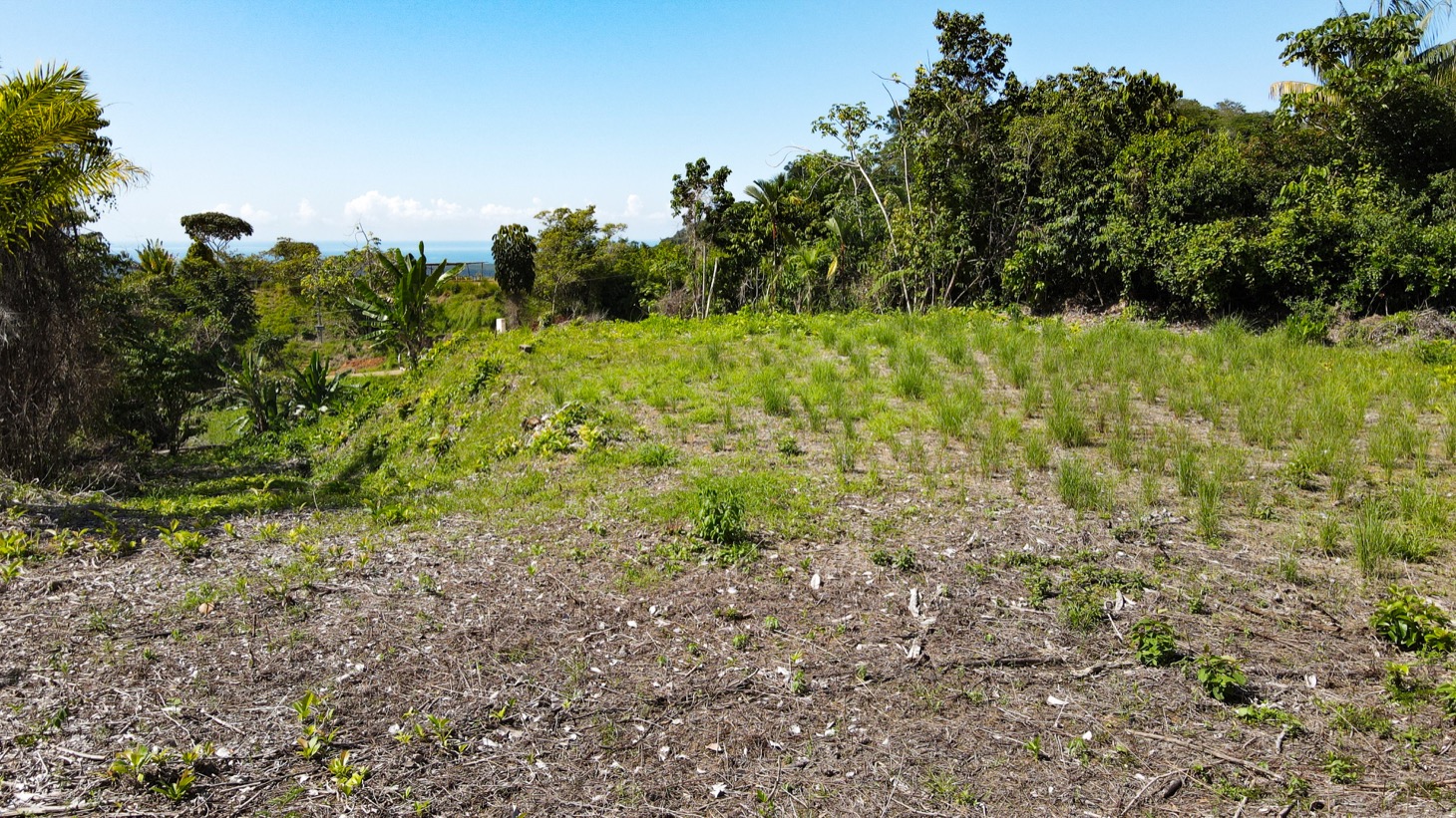 0 bed Land For Sale in Ojochal, Puntarenas - thumb 7