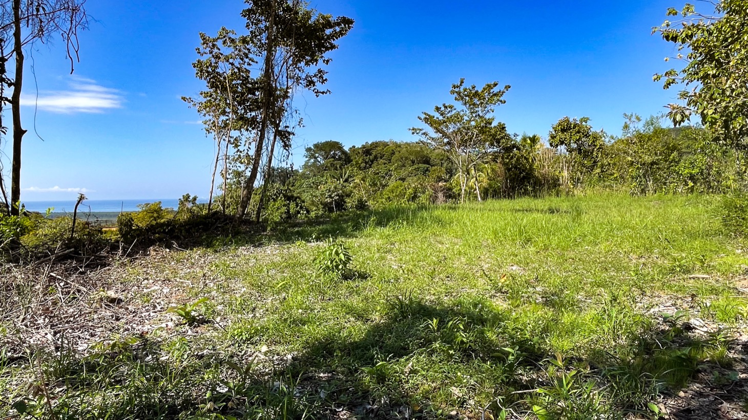 0 bed Land For Sale in Ojochal, Puntarenas - thumb 6
