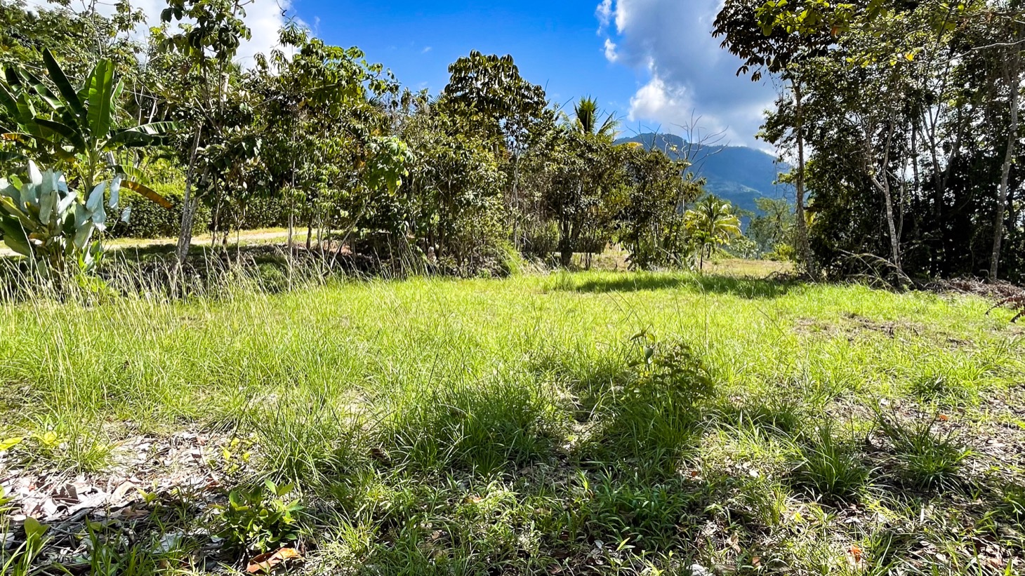0 bed Land For Sale in Ojochal, Puntarenas - thumb 10