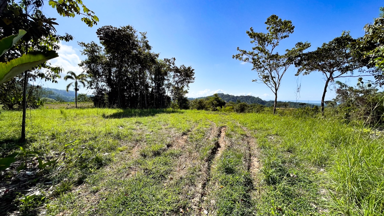 0 bed Land For Sale in Ojochal, Puntarenas - thumb 8