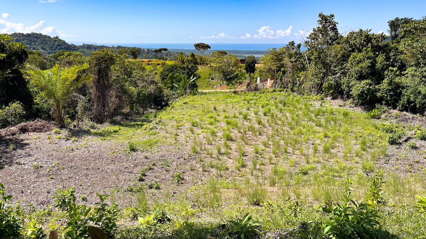 0 bed Land For Sale in Ojochal, Puntarenas - thumb 5