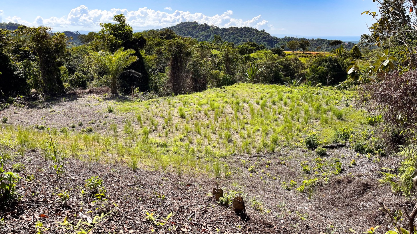 0 bed Land For Sale in Ojochal, Puntarenas - thumb 9