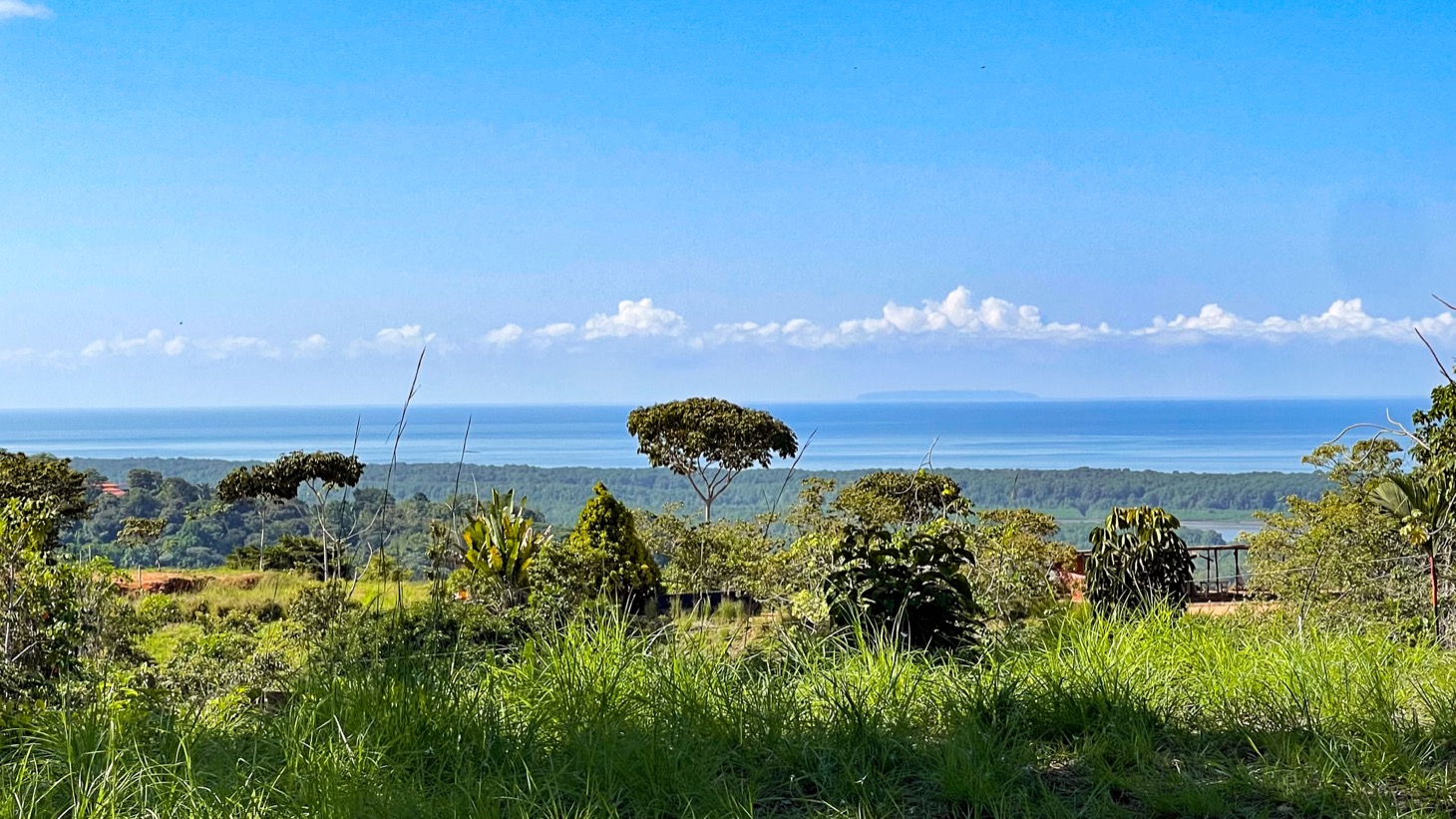 0 bed Land For Sale in Ojochal, Puntarenas - thumb 1