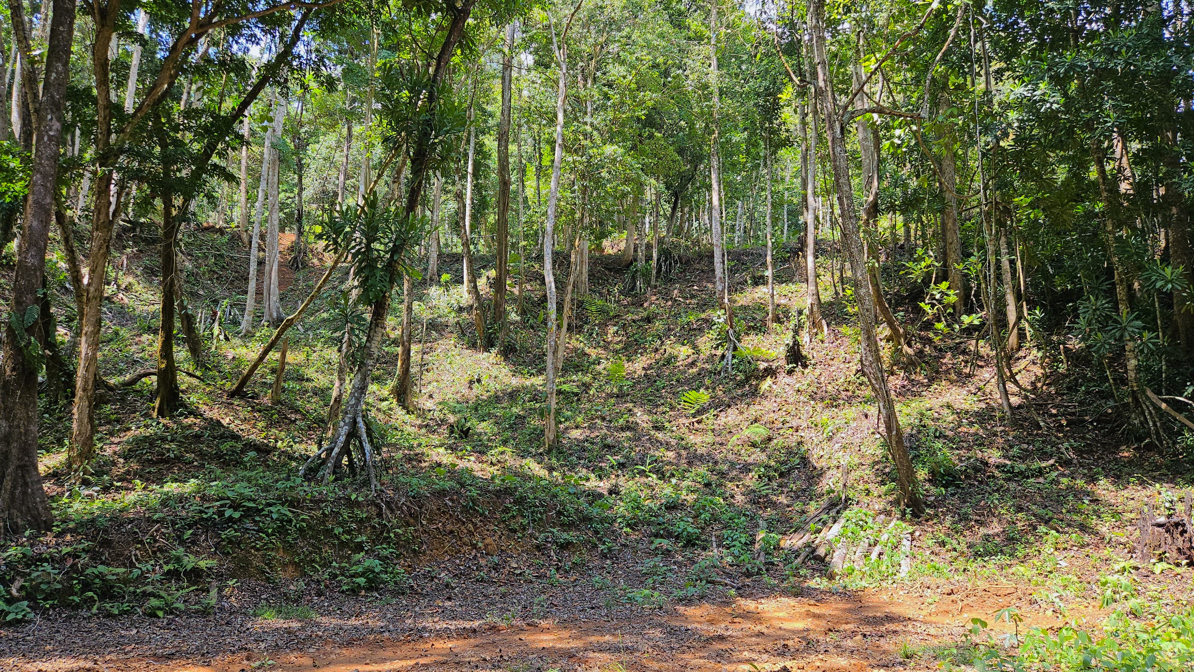 0 bed Land For Sale in Perez Zeledon, San Jose - thumb 10