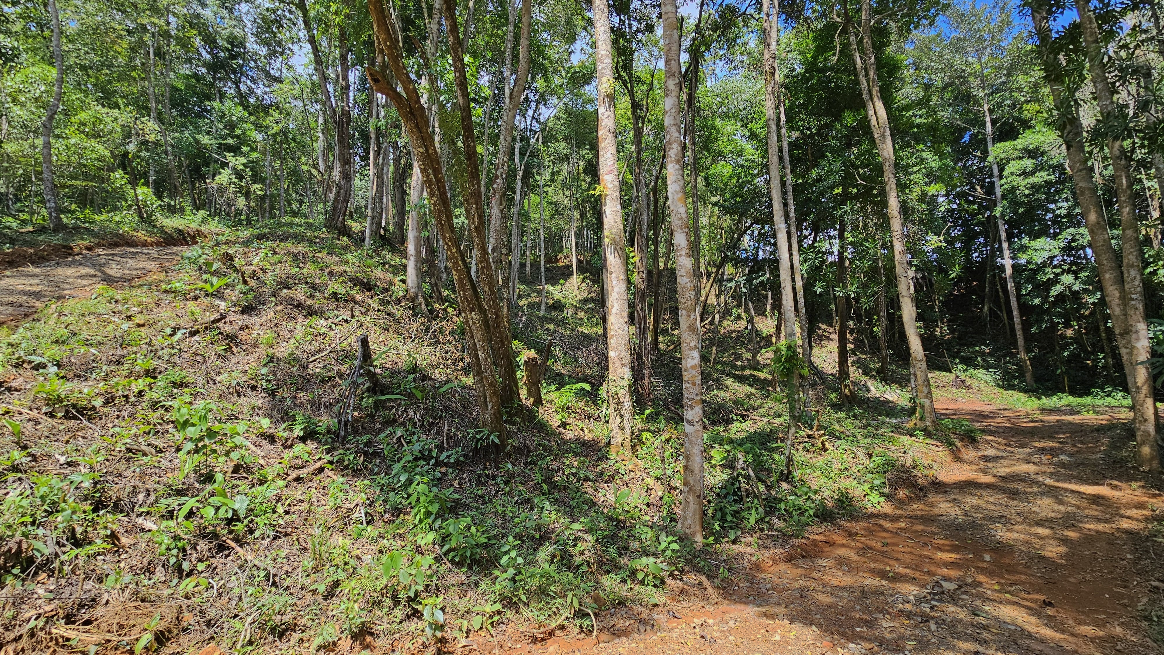 0 bed Land For Sale in Perez Zeledon, San Jose - thumb 6