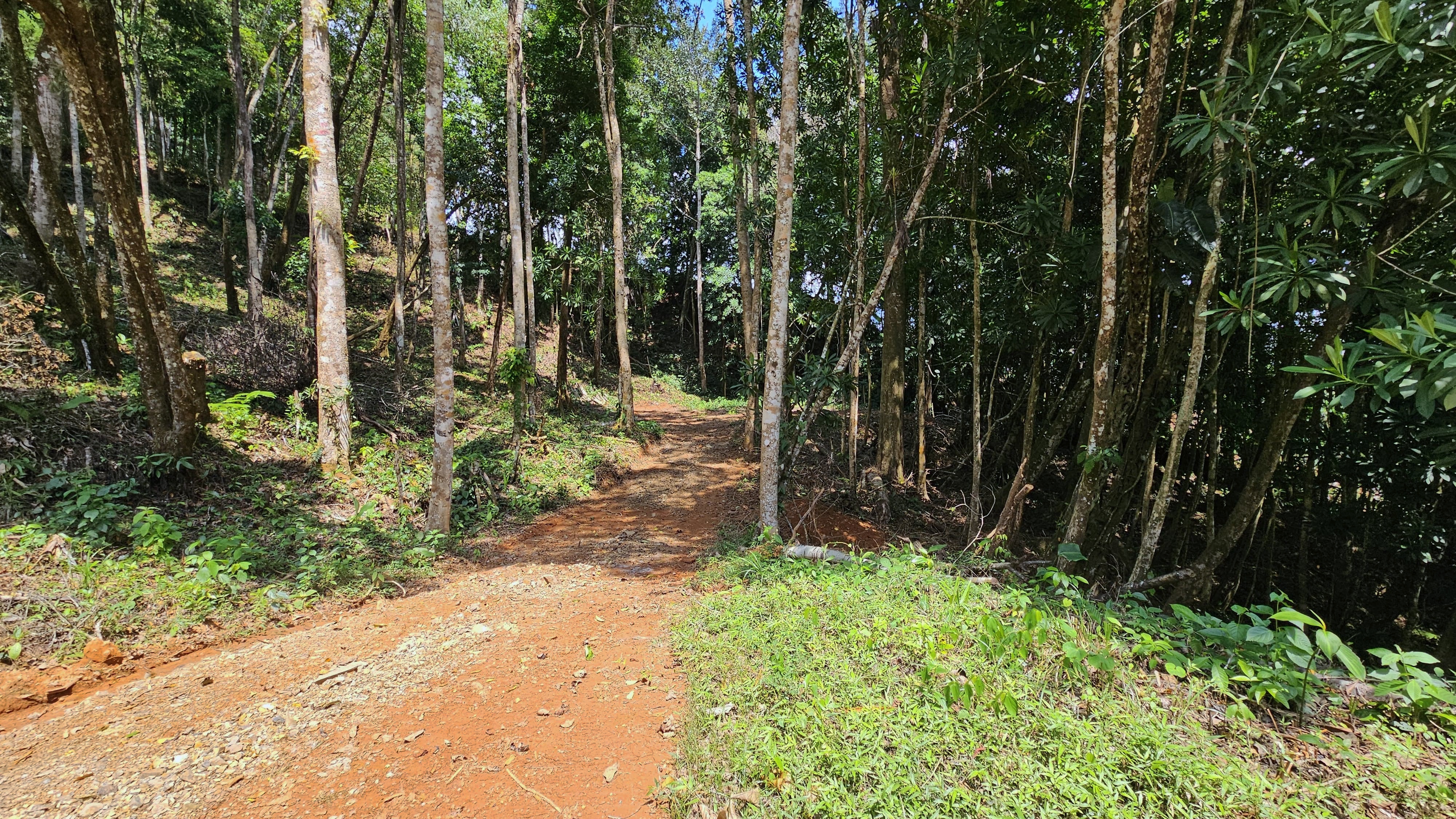0 bed Land For Sale in Perez Zeledon, San Jose - thumb 2