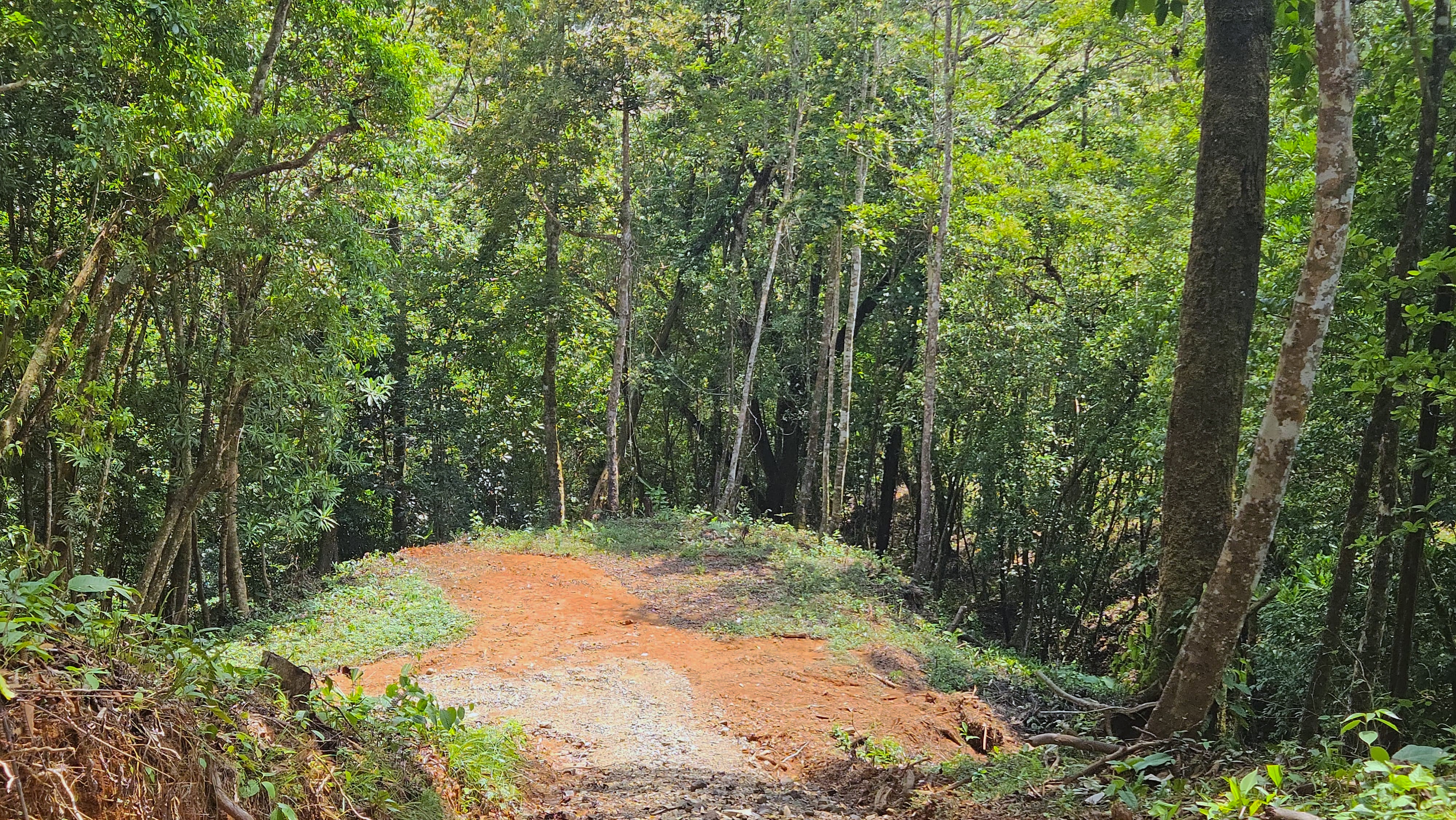 0 bed Land For Sale in Perez Zeledon, San Jose - thumb 3