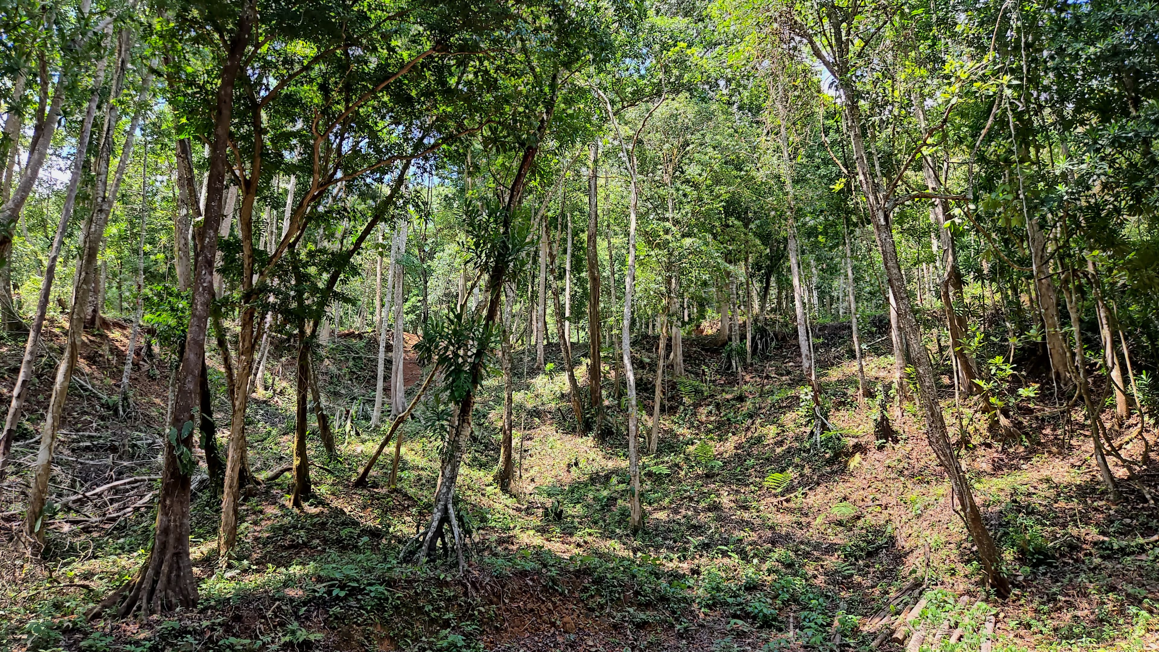 0 bed Land For Sale in Perez Zeledon, San Jose - thumb 12
