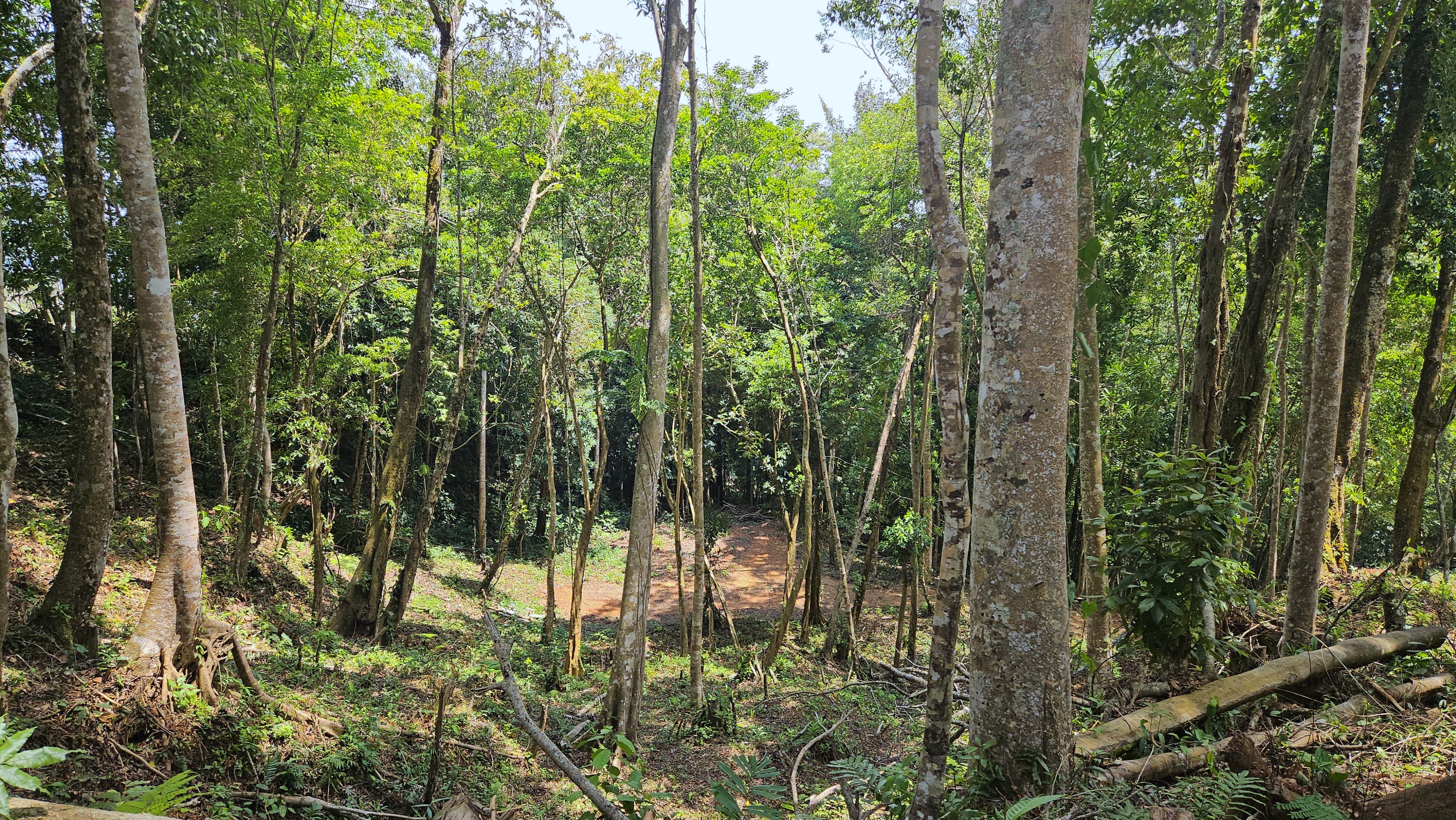 0 bed Land For Sale in Perez Zeledon, San Jose - thumb 7