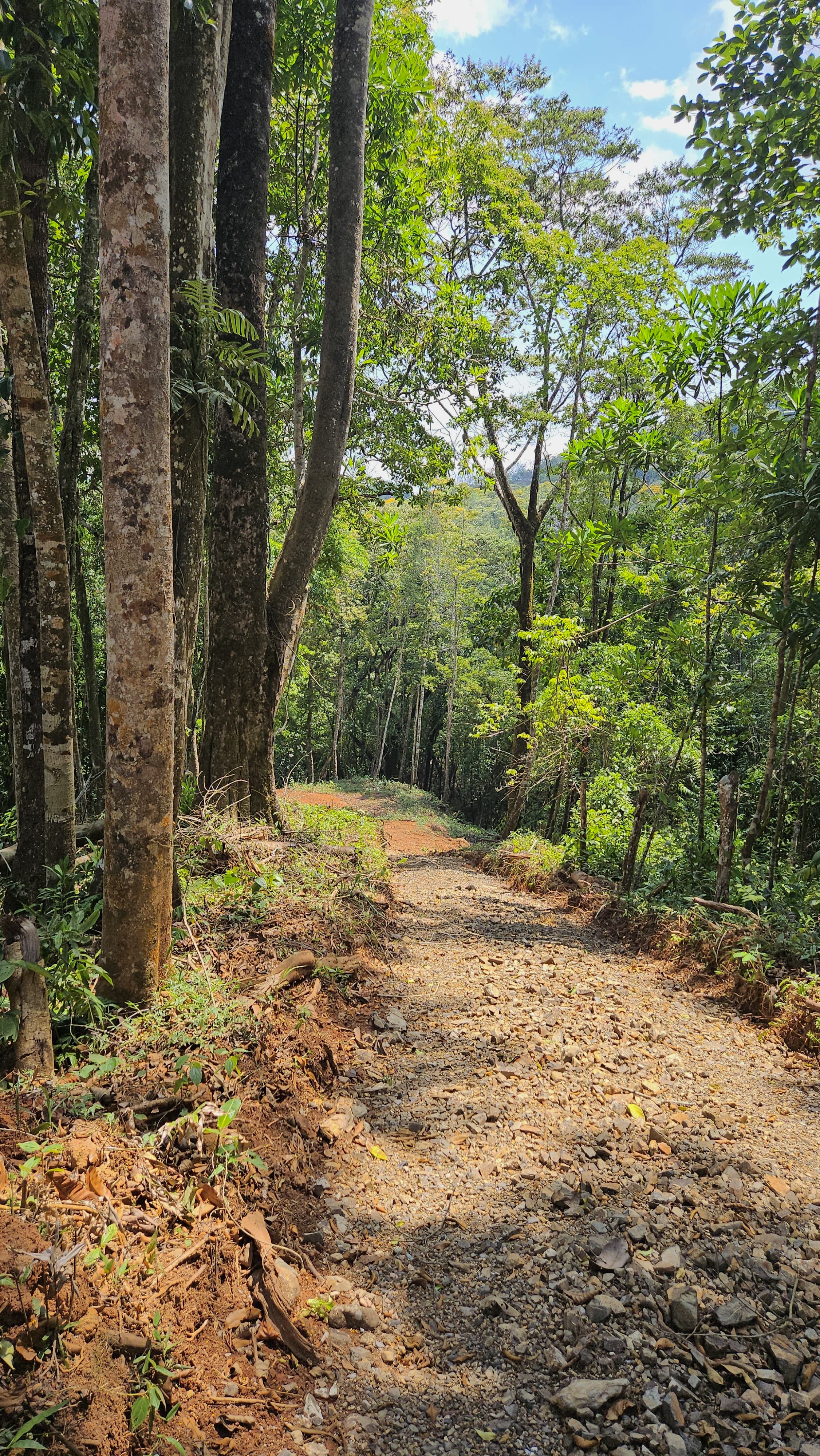 0 bed Land For Sale in Perez Zeledon, San Jose - thumb 13