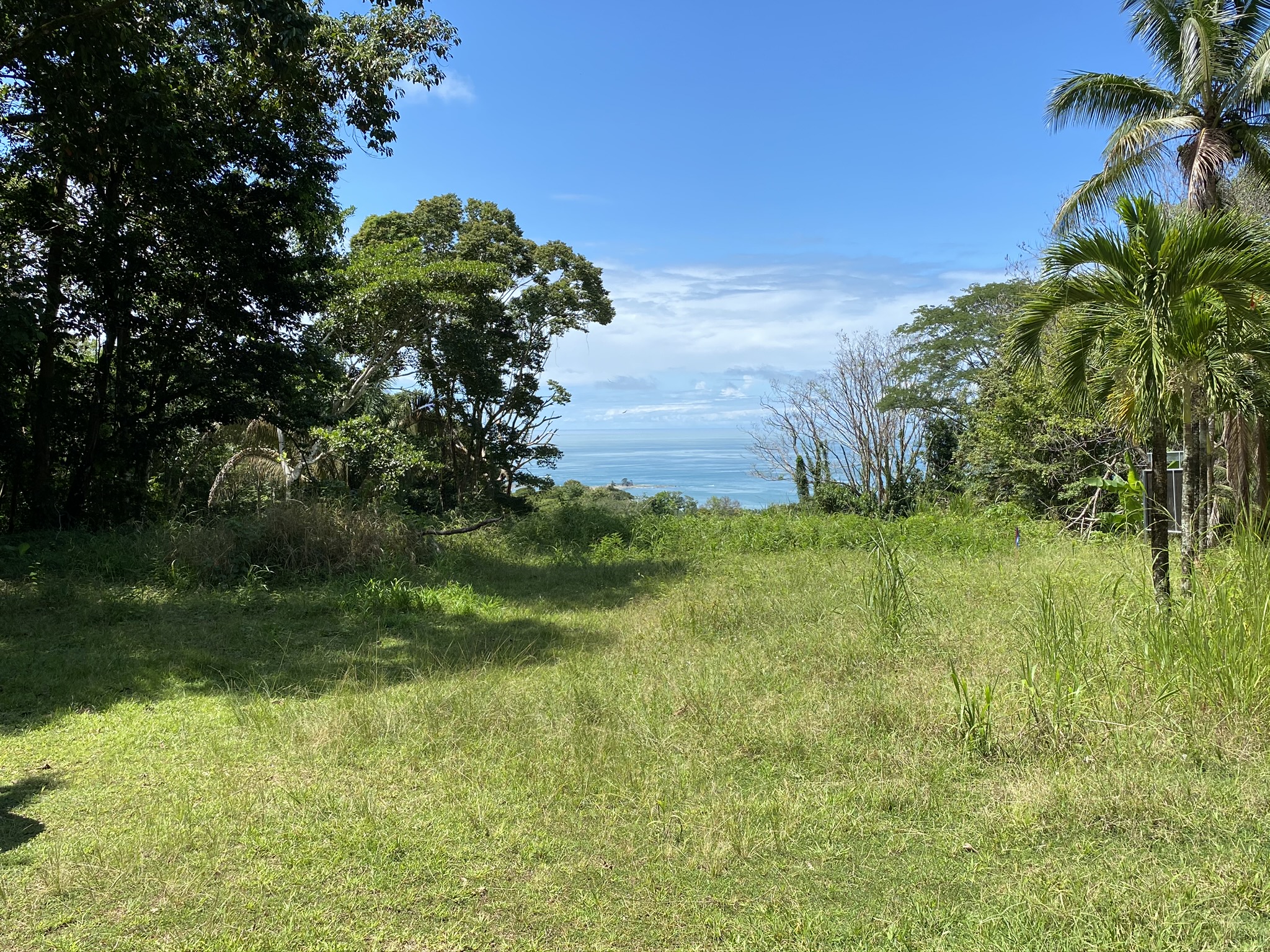 0 bed Land For Sale in Dominical, Puntarenas - thumb 7