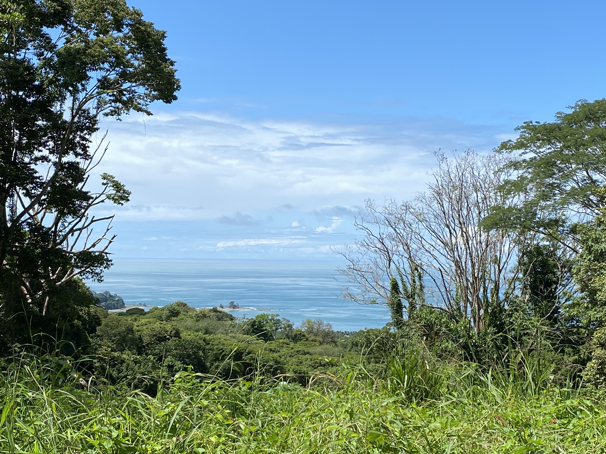 0 bed Land For Sale in Dominical, Puntarenas - thumb 1