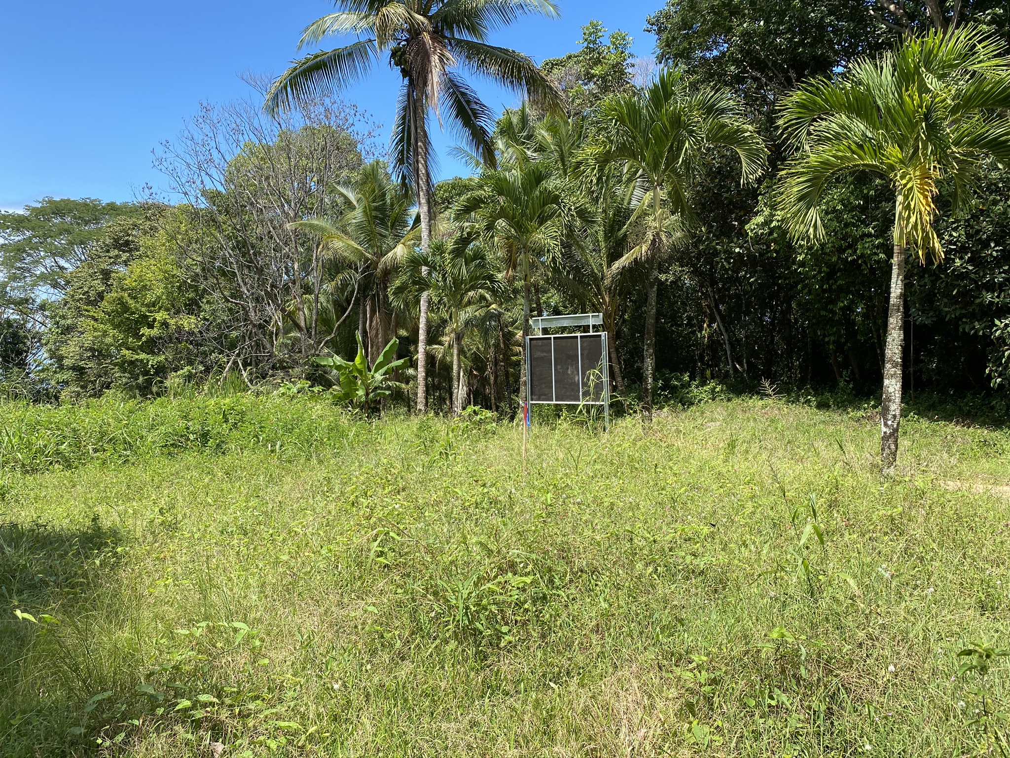 0 bed Land For Sale in Dominical, Puntarenas - thumb 4