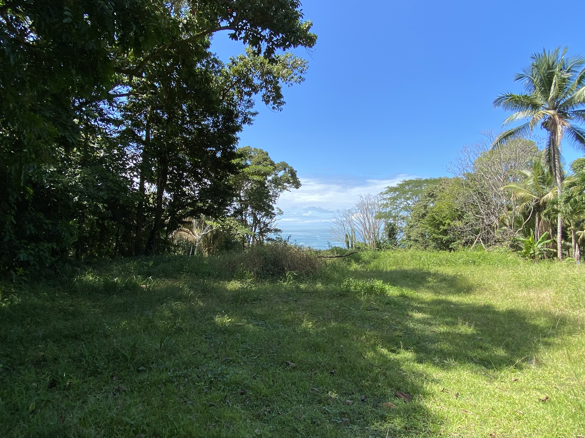 0 bed Land For Sale in Dominical, Puntarenas - thumb 2