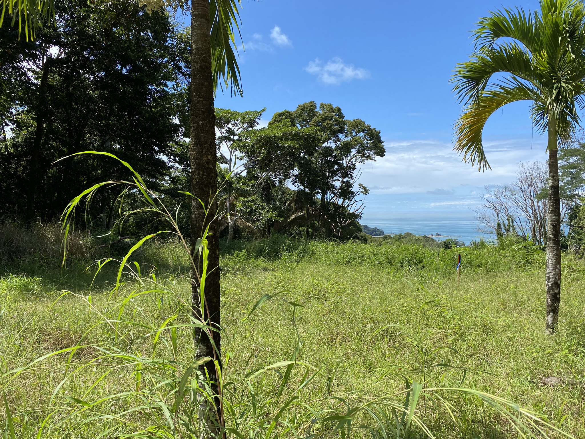 0 bed Land For Sale in Dominical, Puntarenas - thumb 6