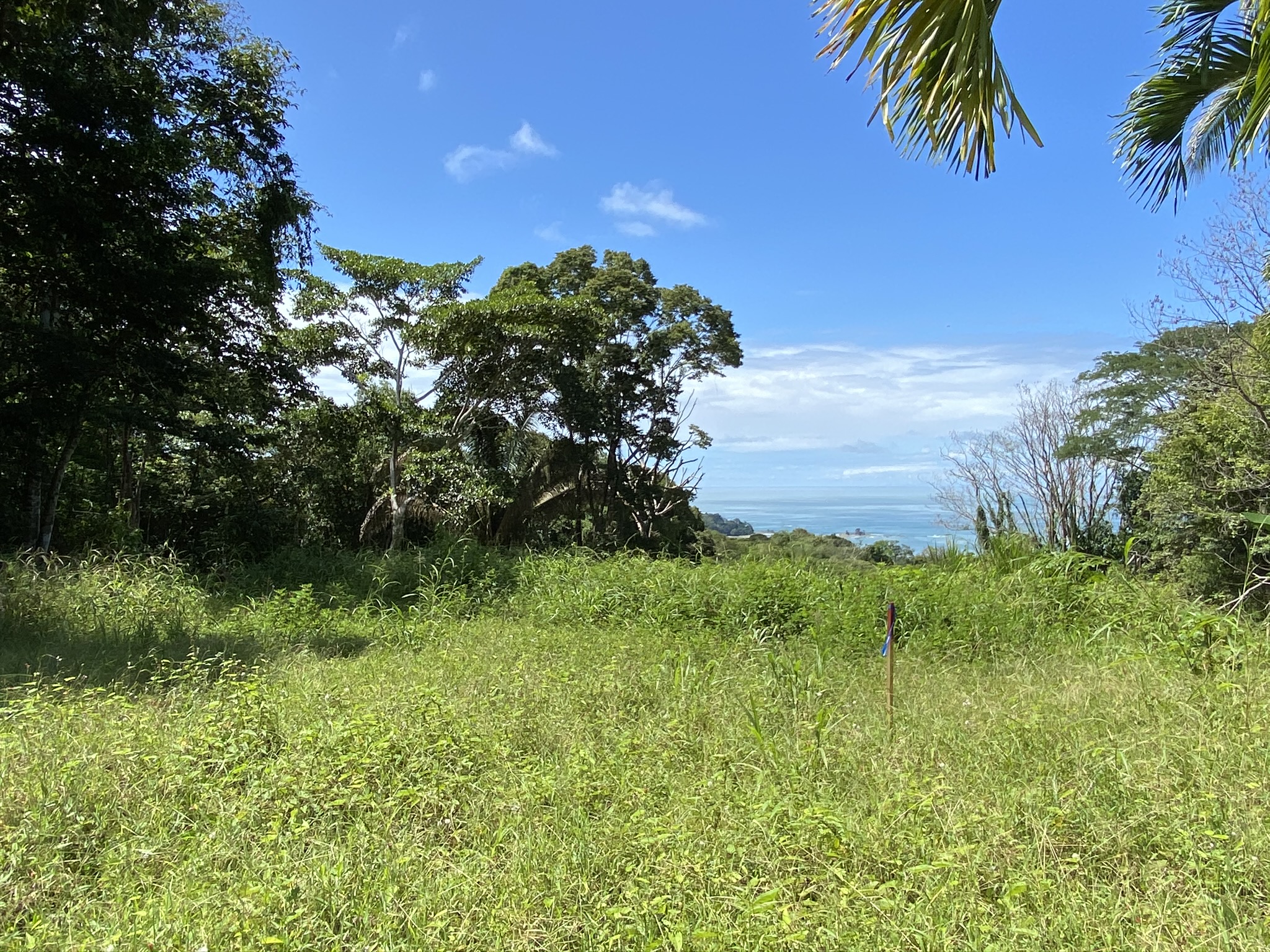 0 bed Land For Sale in Dominical, Puntarenas - thumb 3