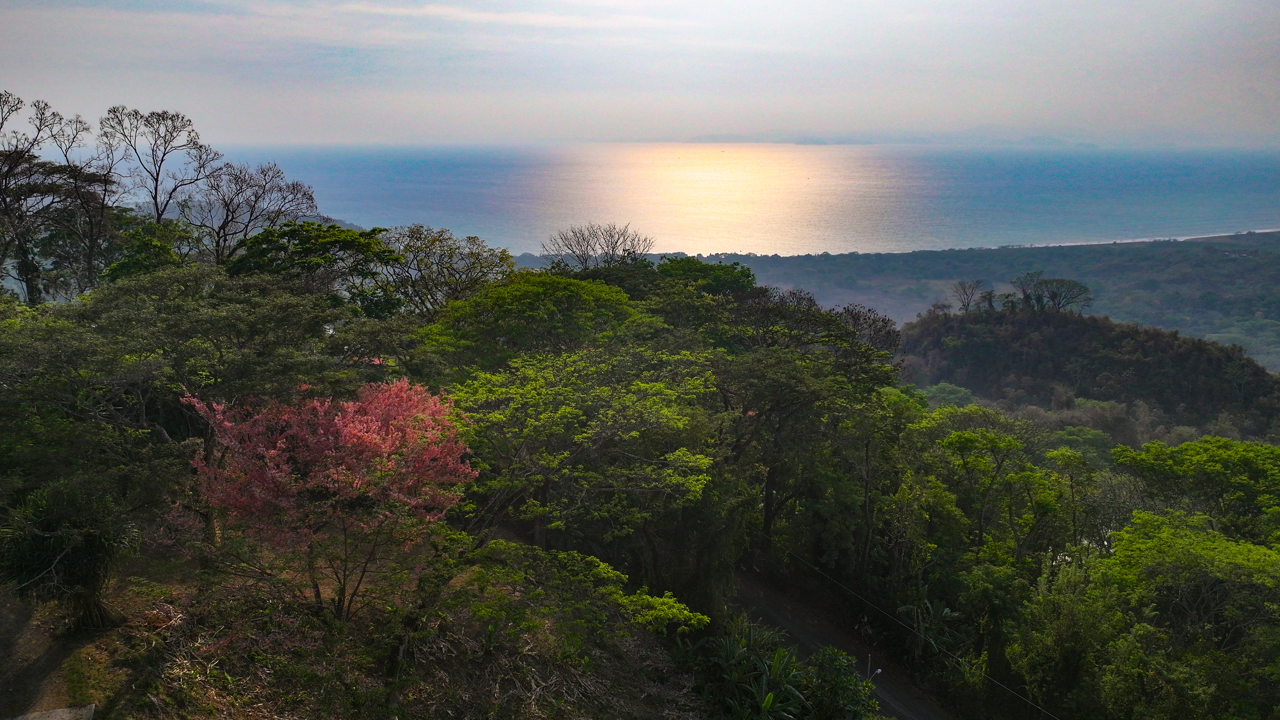 4 bed Single Family Homes For Sale in Tarcoles, Puntarenas - thumb 6