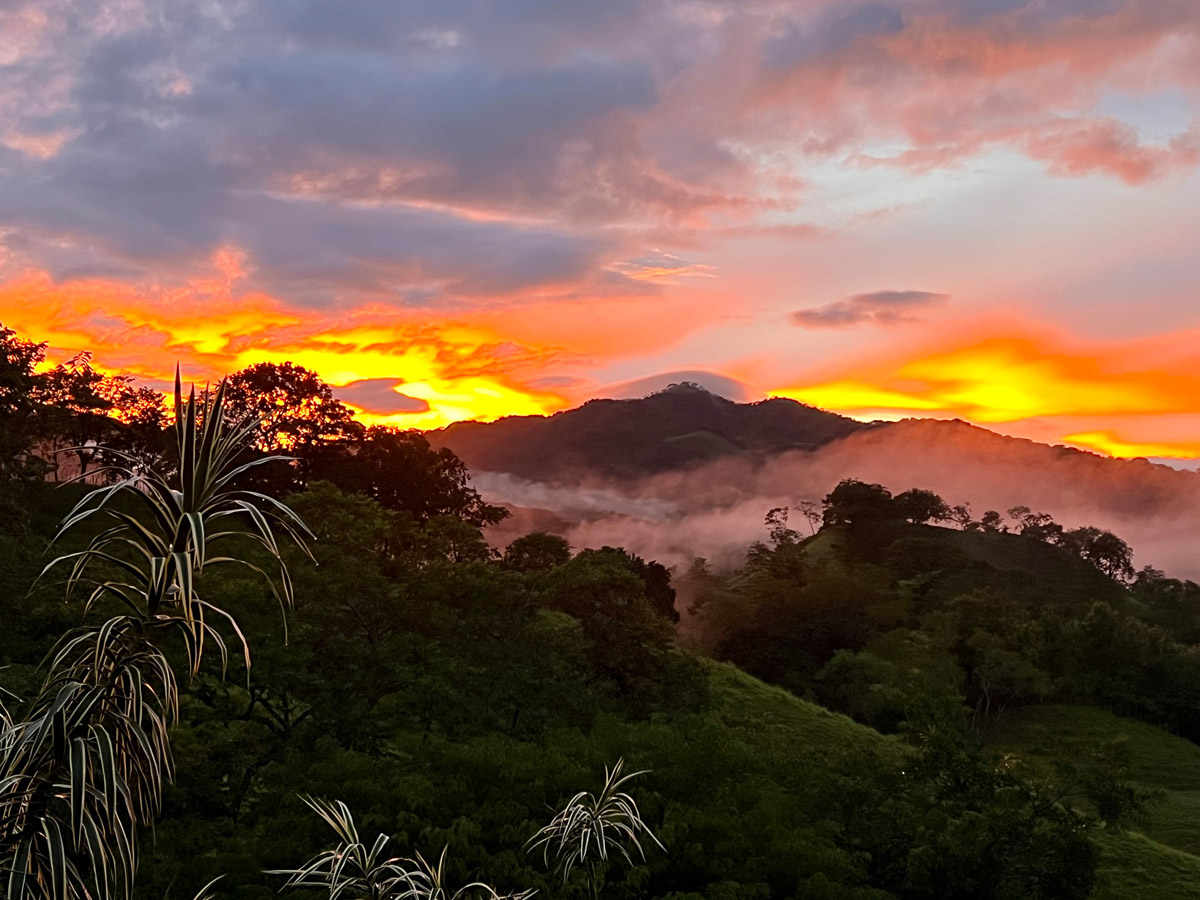 8 bed Single Family Homes For Sale in Lepanto, Puntarenas - thumb 28