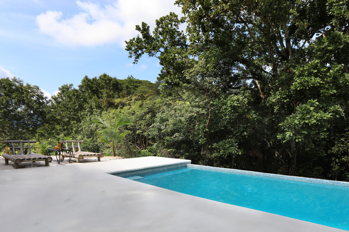 8 bed Single Family Homes For Sale in Lepanto, Puntarenas - thumb 2