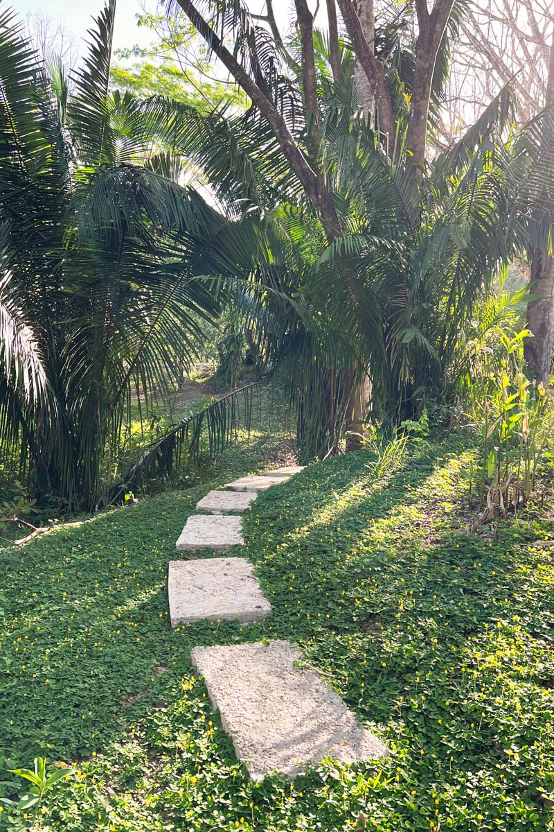 8 bed Single Family Homes For Sale in Lepanto, Puntarenas - thumb 20