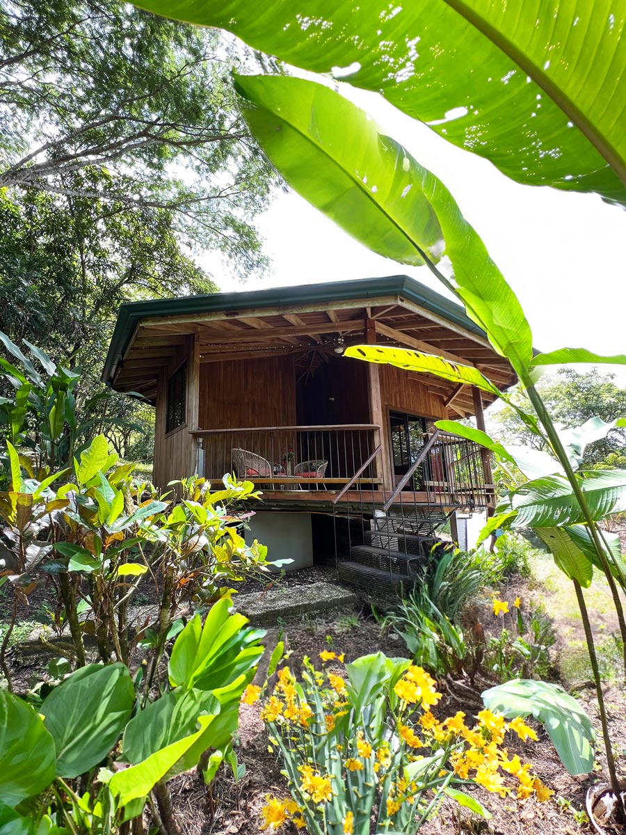 8 bed Single Family Homes For Sale in Lepanto, Puntarenas - thumb 14