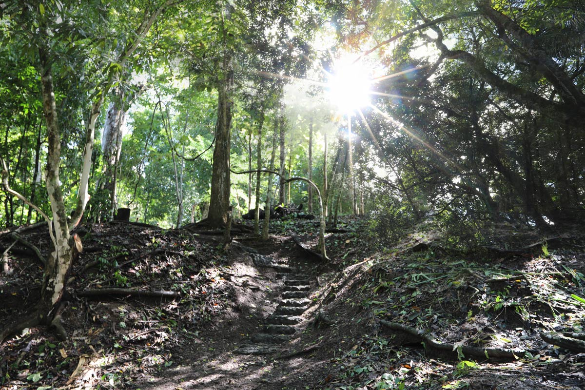 8 bed Single Family Homes For Sale in Lepanto, Puntarenas - thumb 19