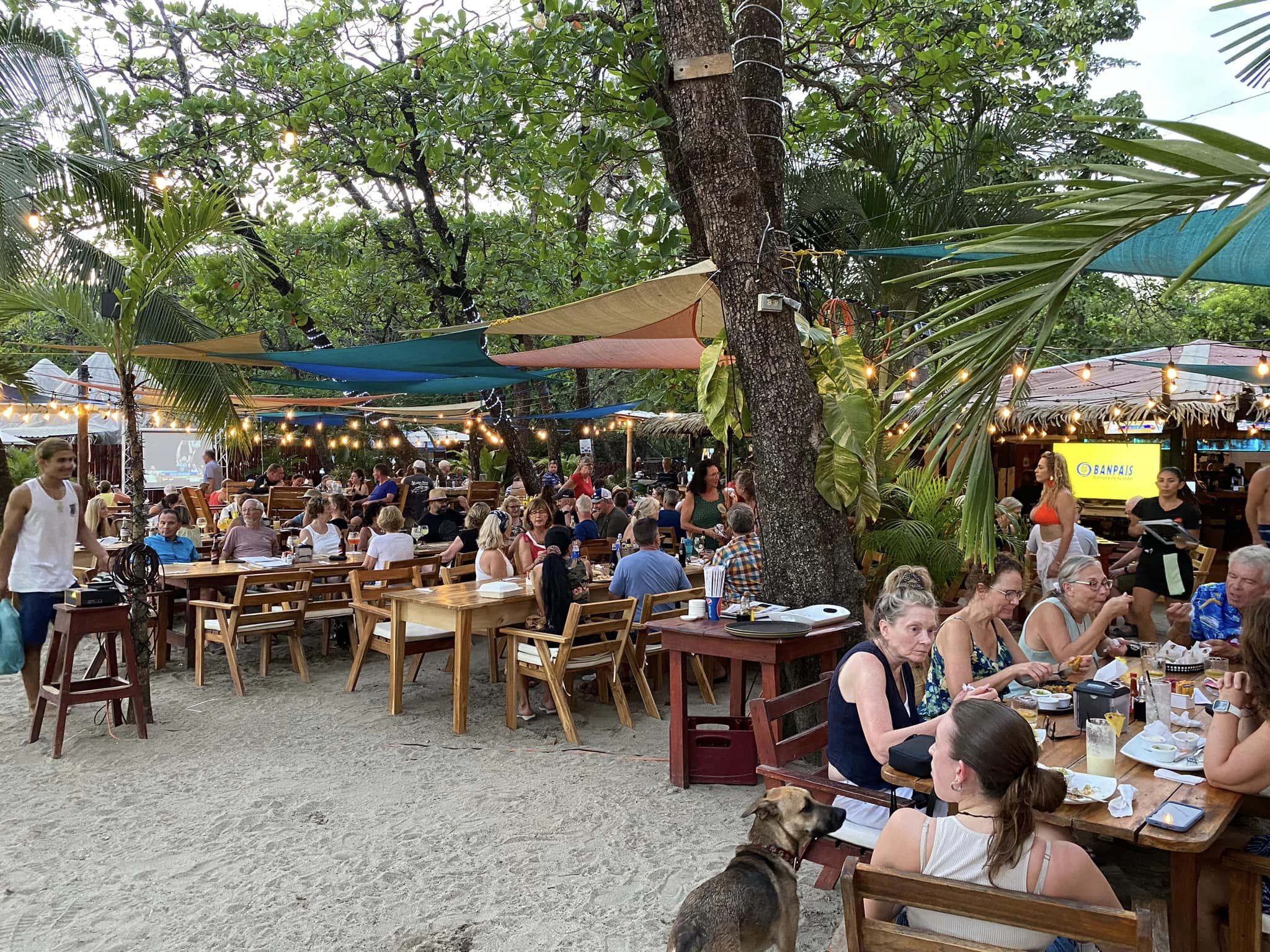 5 bed Commercial For Sale in Samara, Guanacaste - thumb 1