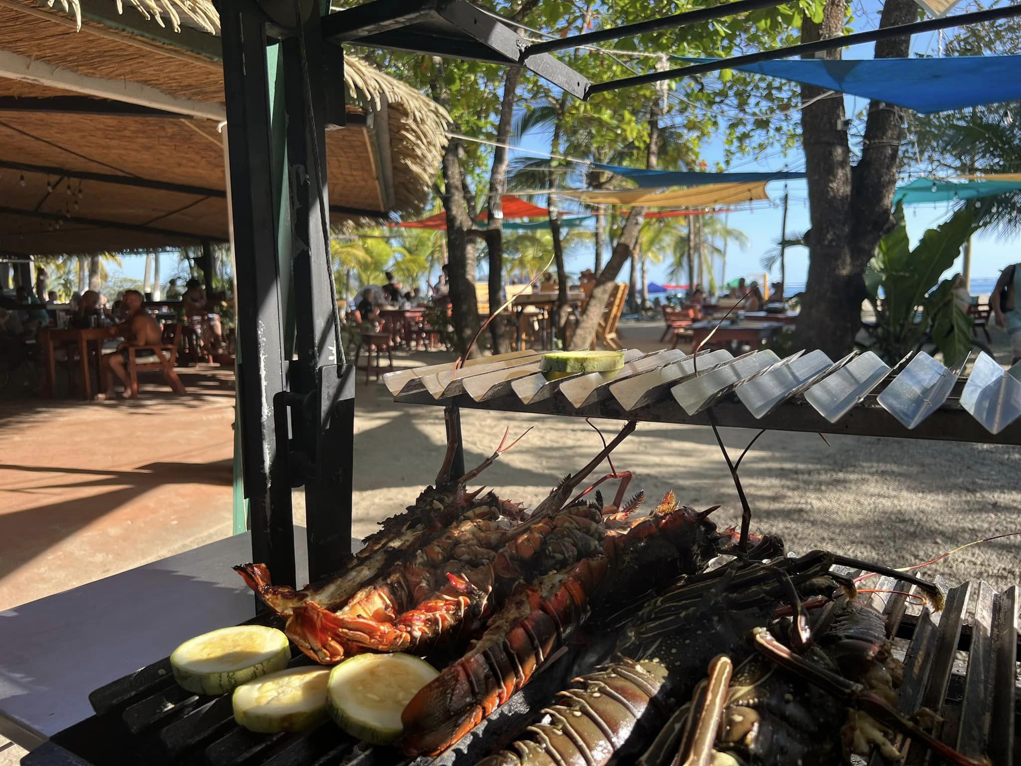 5 bed Commercial For Sale in Samara, Guanacaste - thumb 12