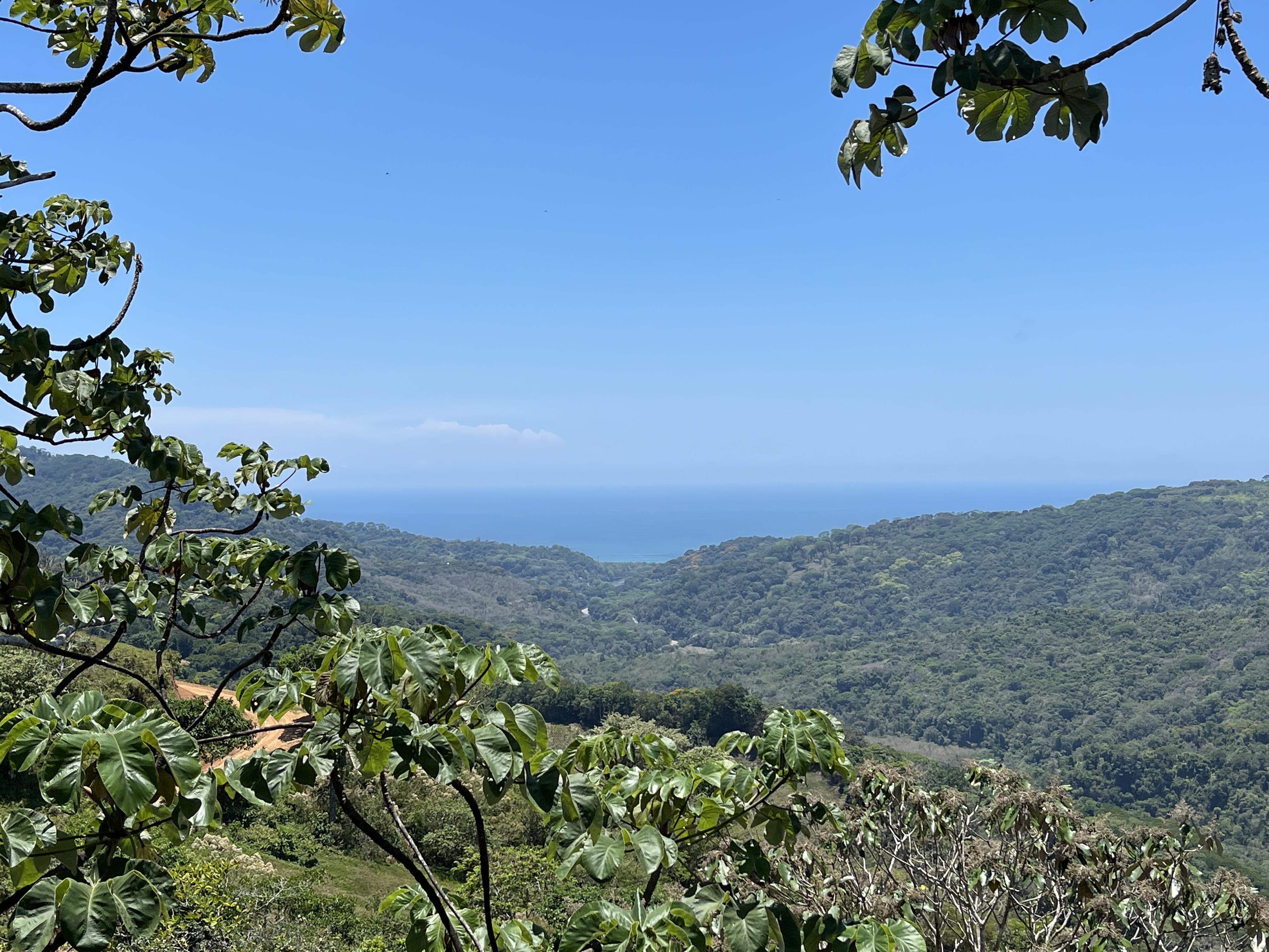 3 bed Single Family Homes For Sale in Perez Zeledon, San Jose - thumb 5