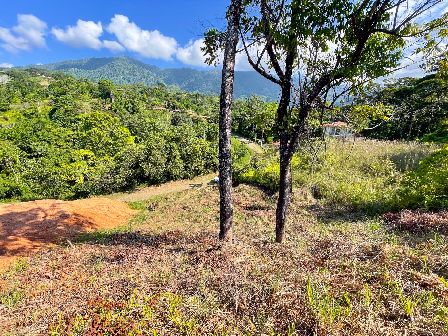 0 bed Land For Sale in Ojochal, Puntarenas - thumb 9