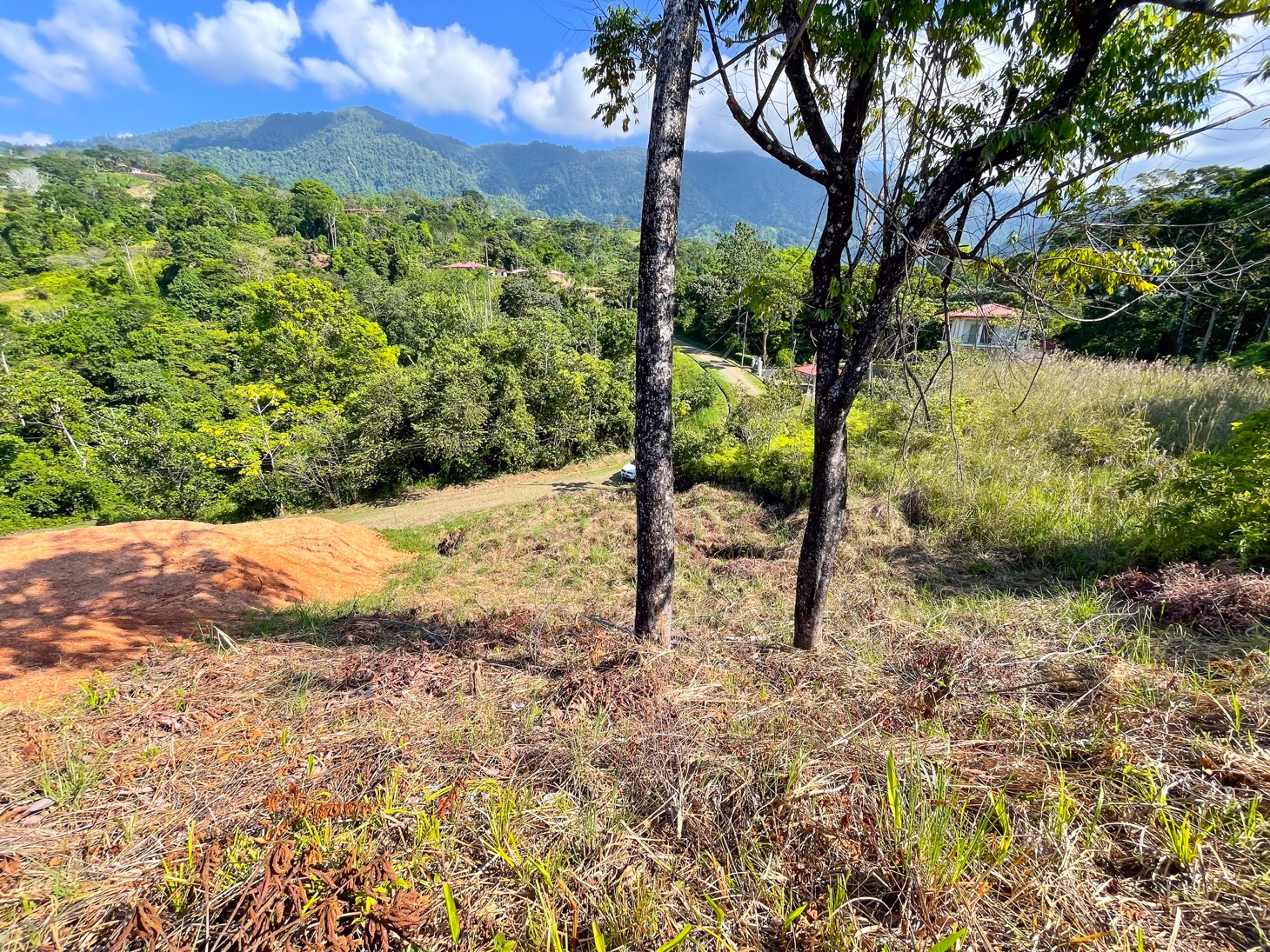 0 bed Land For Sale in Ojochal, Puntarenas - thumb 1